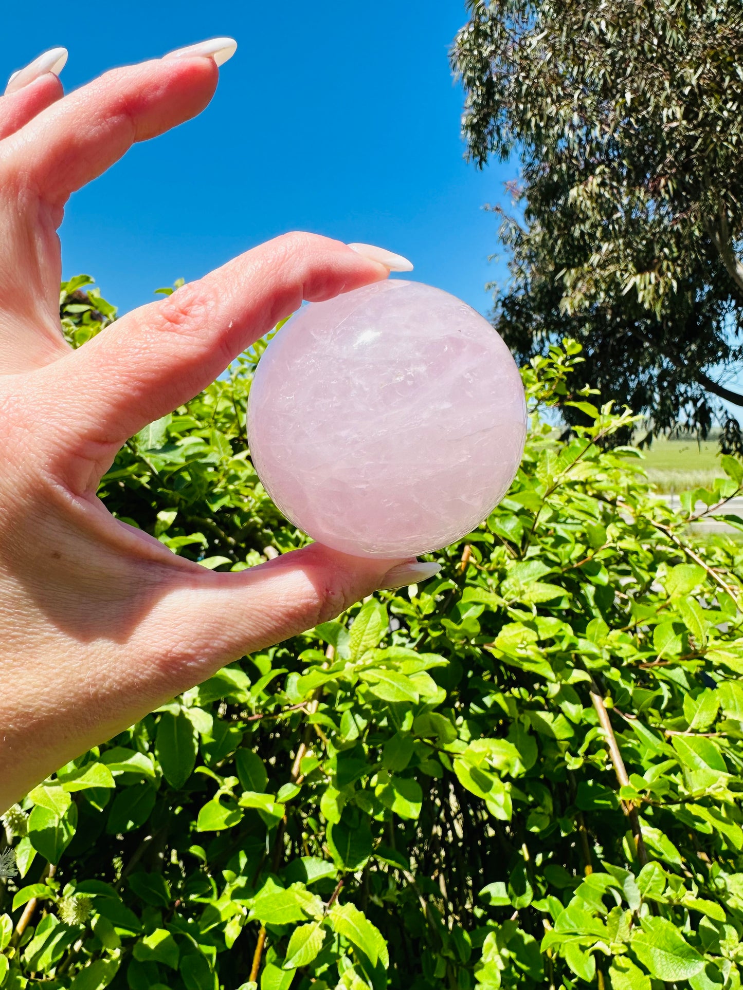Large rose sphere
