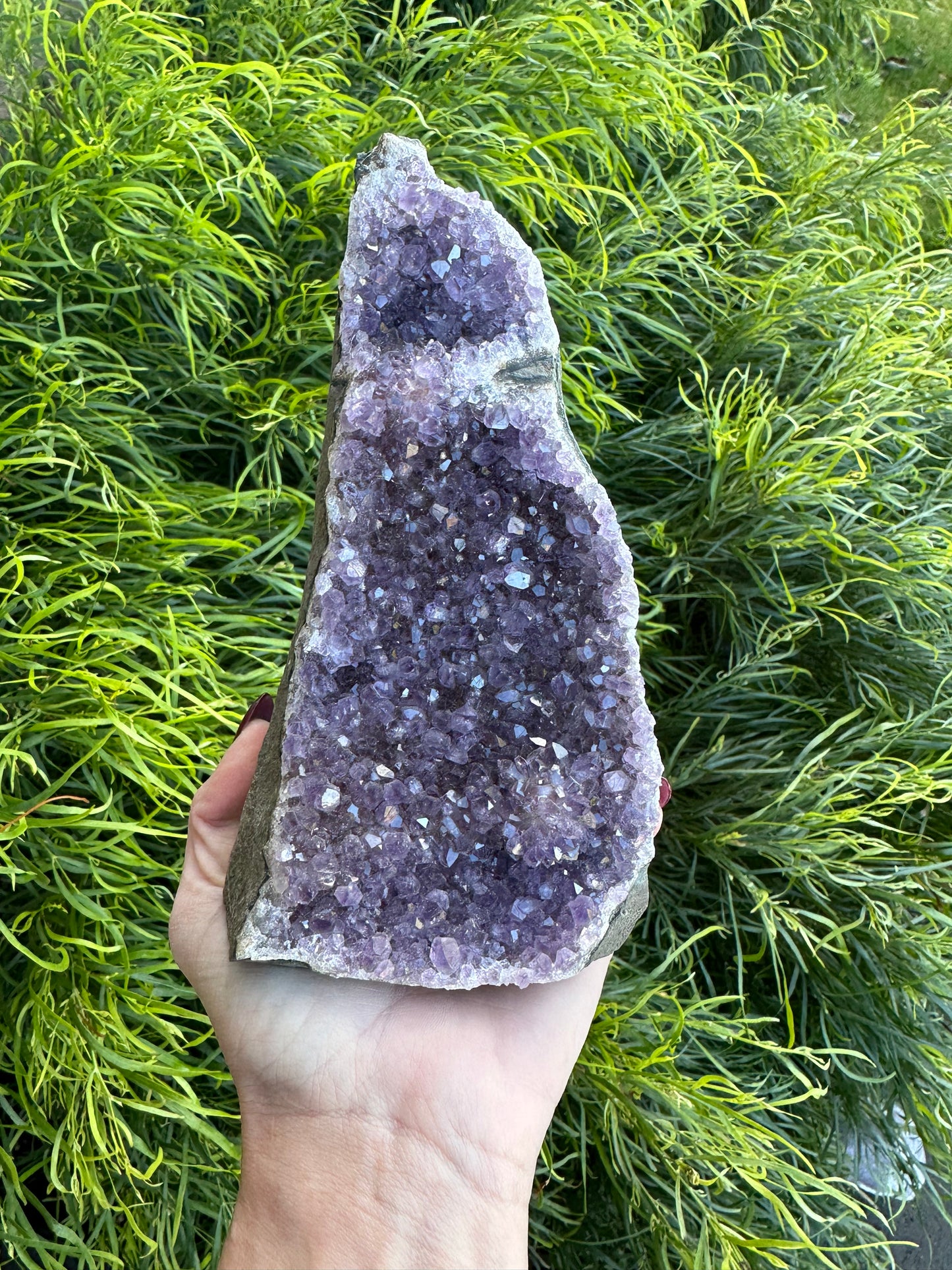 Amethyst cluster