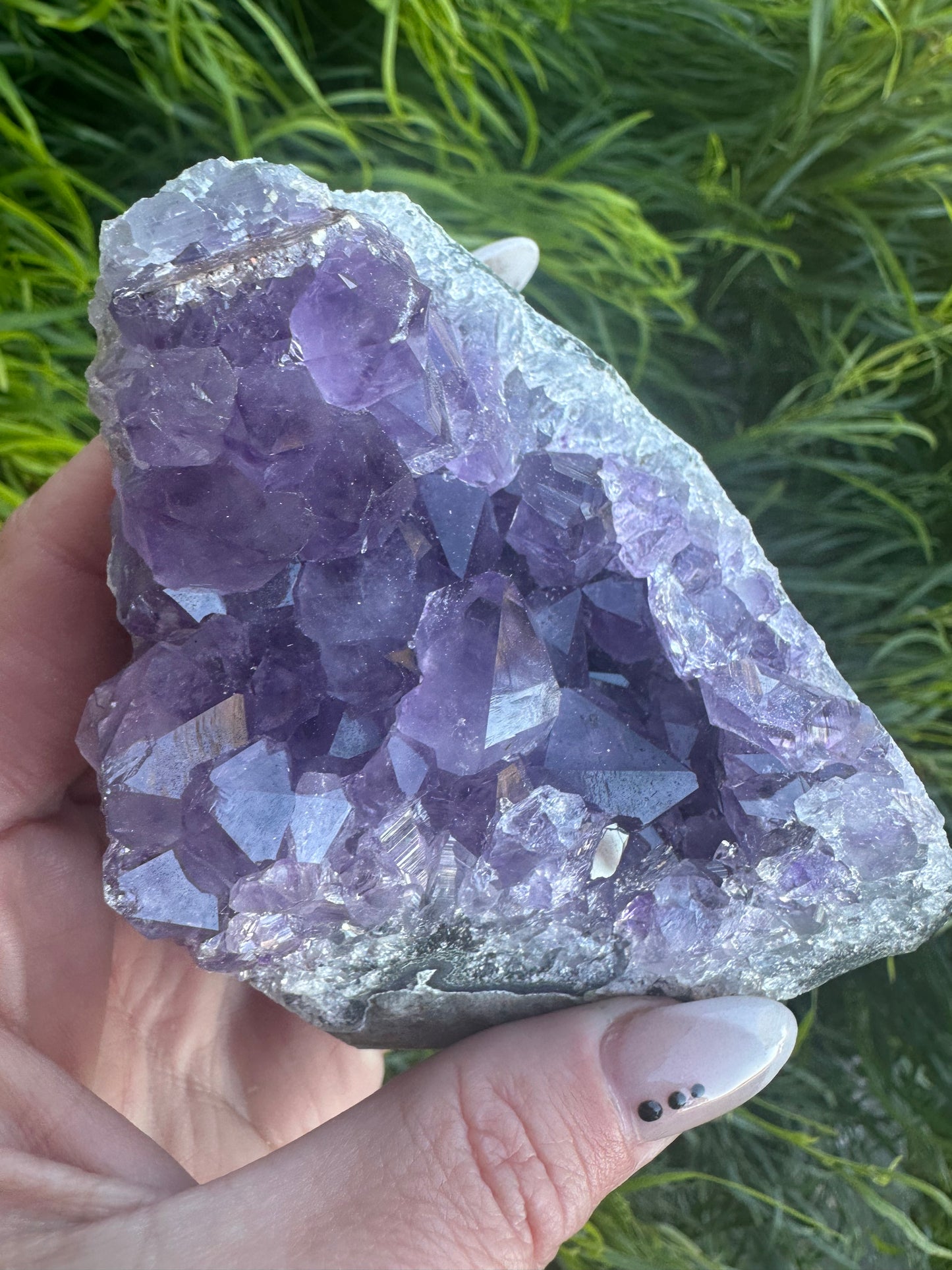 Amethyst cluster