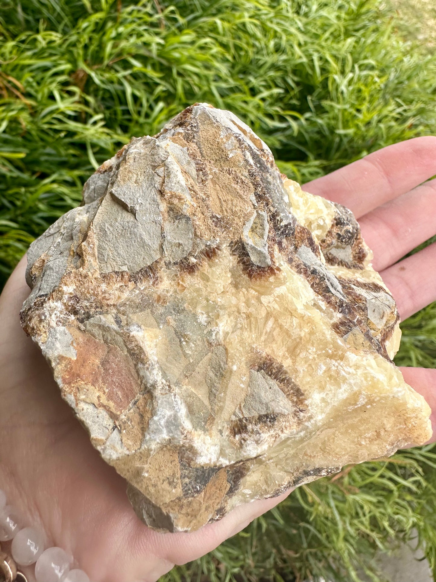 Septarian Stone