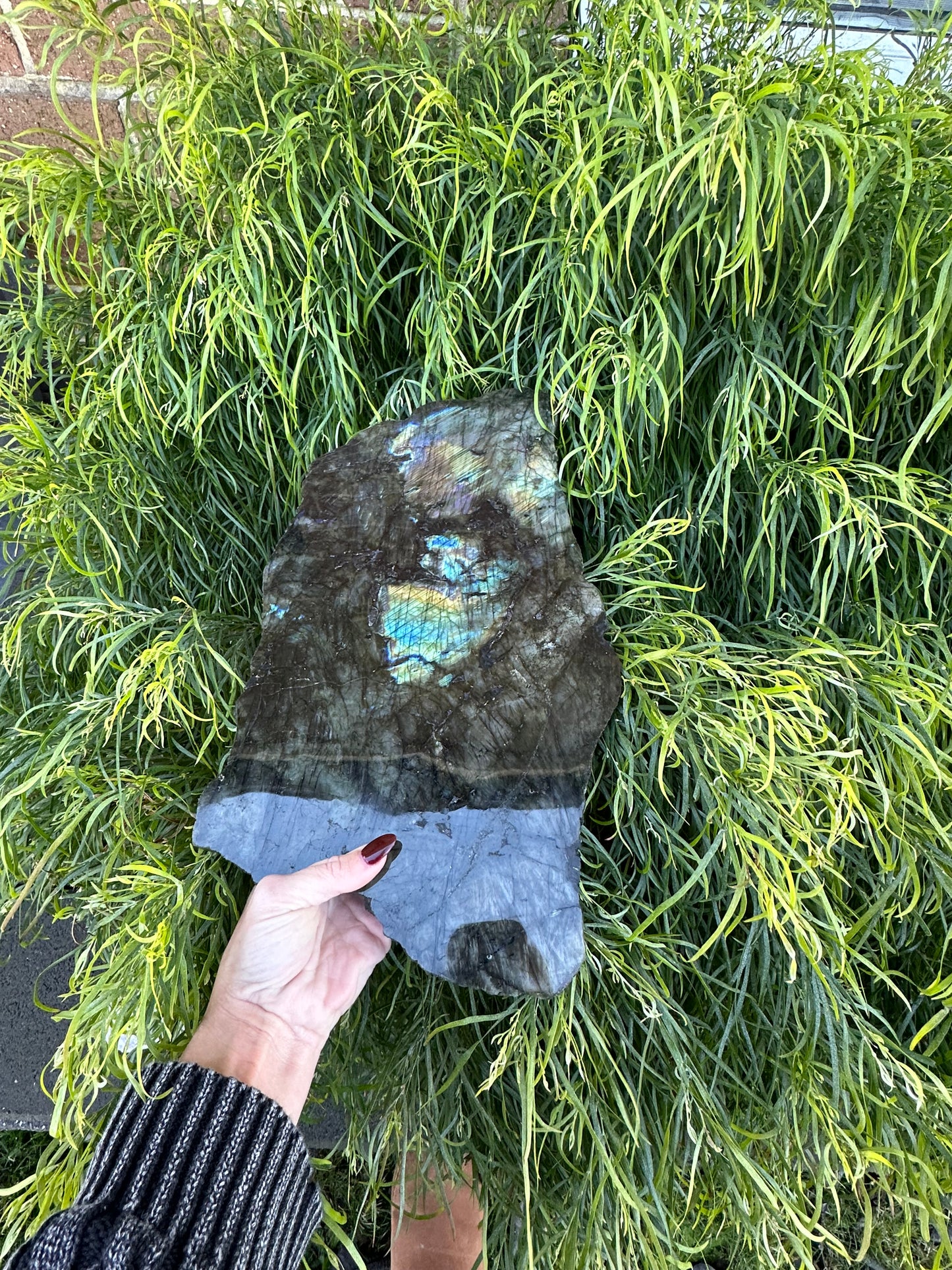 Huge labradorite slice