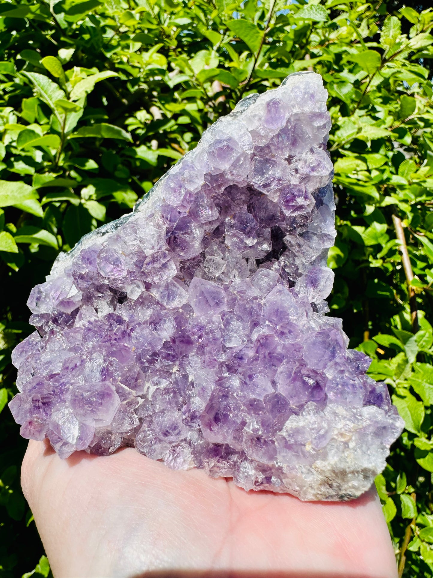 Amethyst cluster