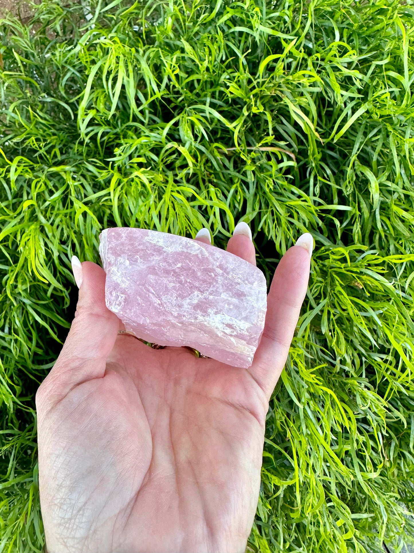 Half polished half raw rose quartz chunk
