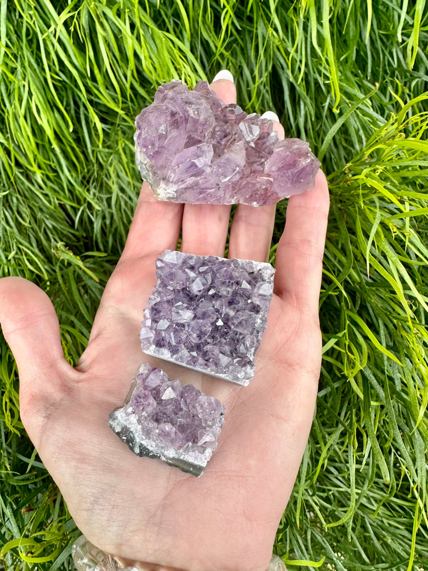 Amethyst clusters