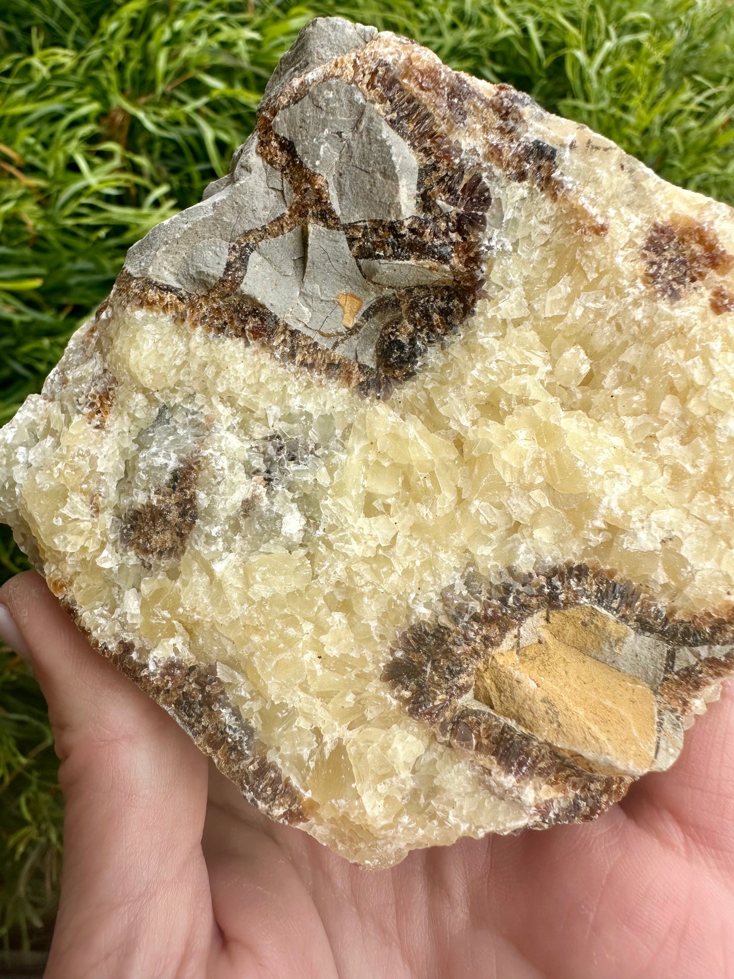 Septarian Stone