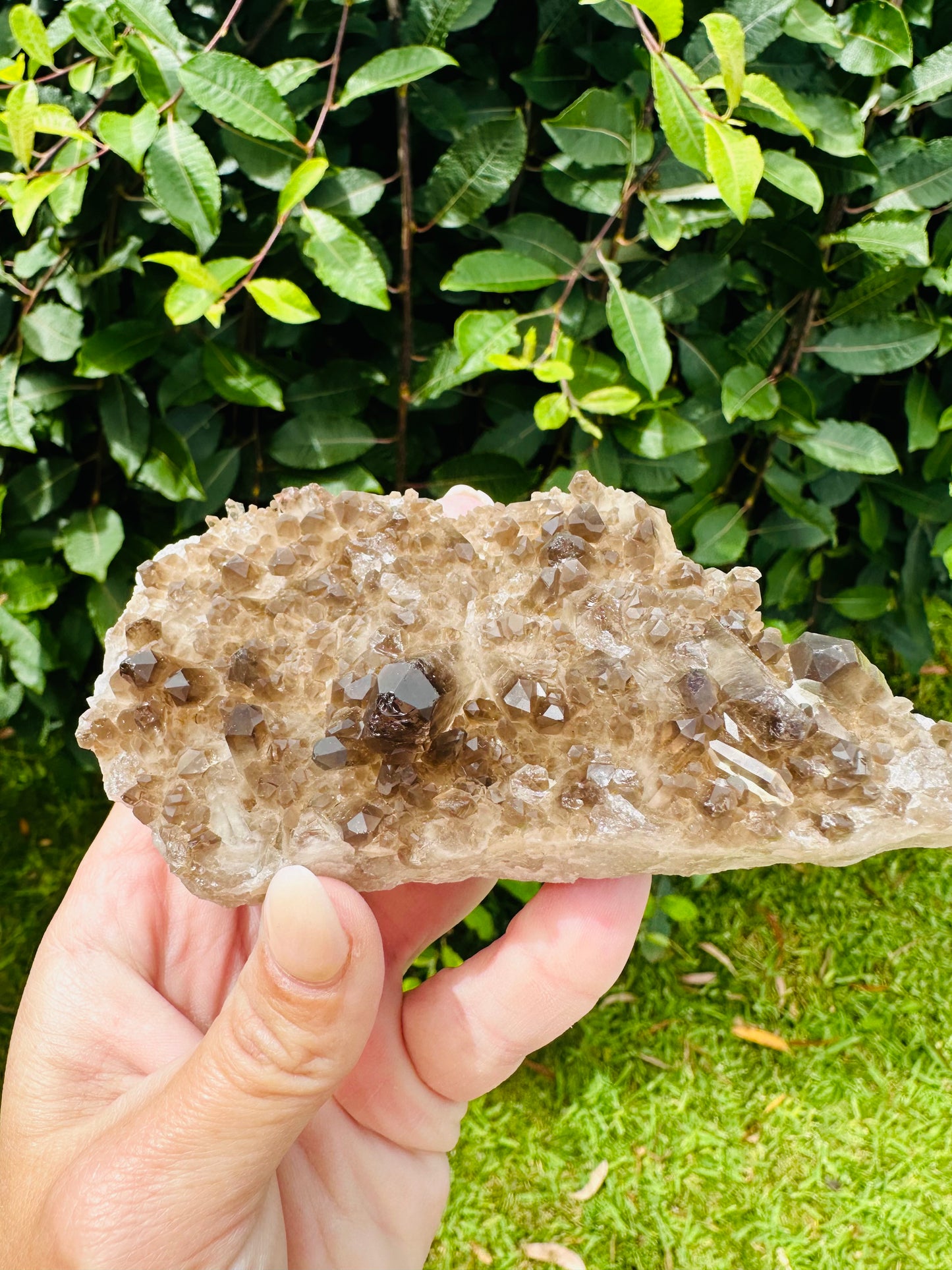 Smokey quartz cluster