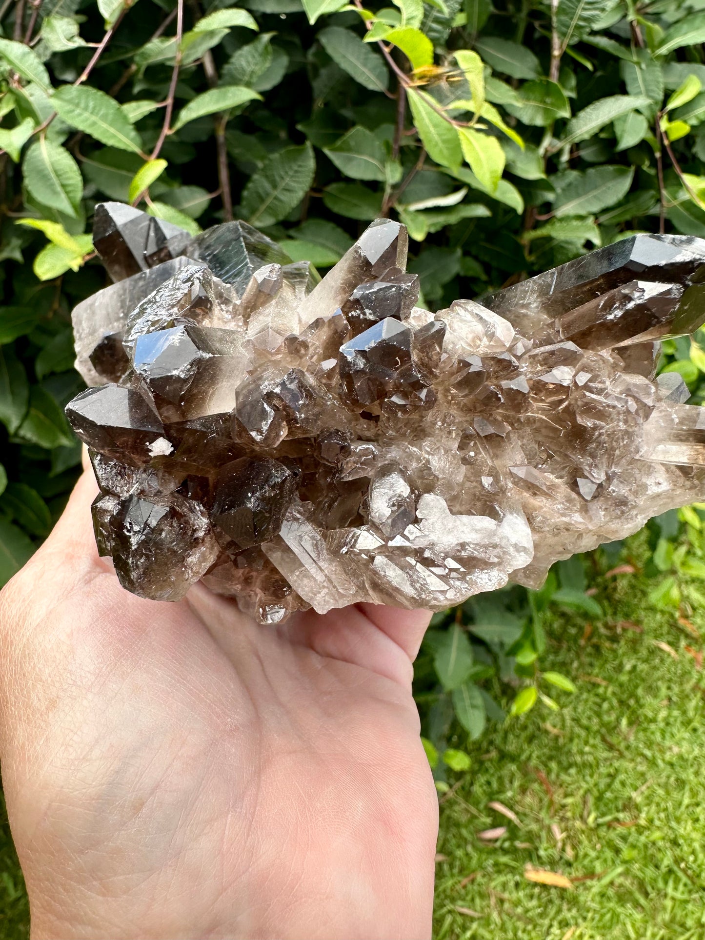 Large Smokey cluster with points