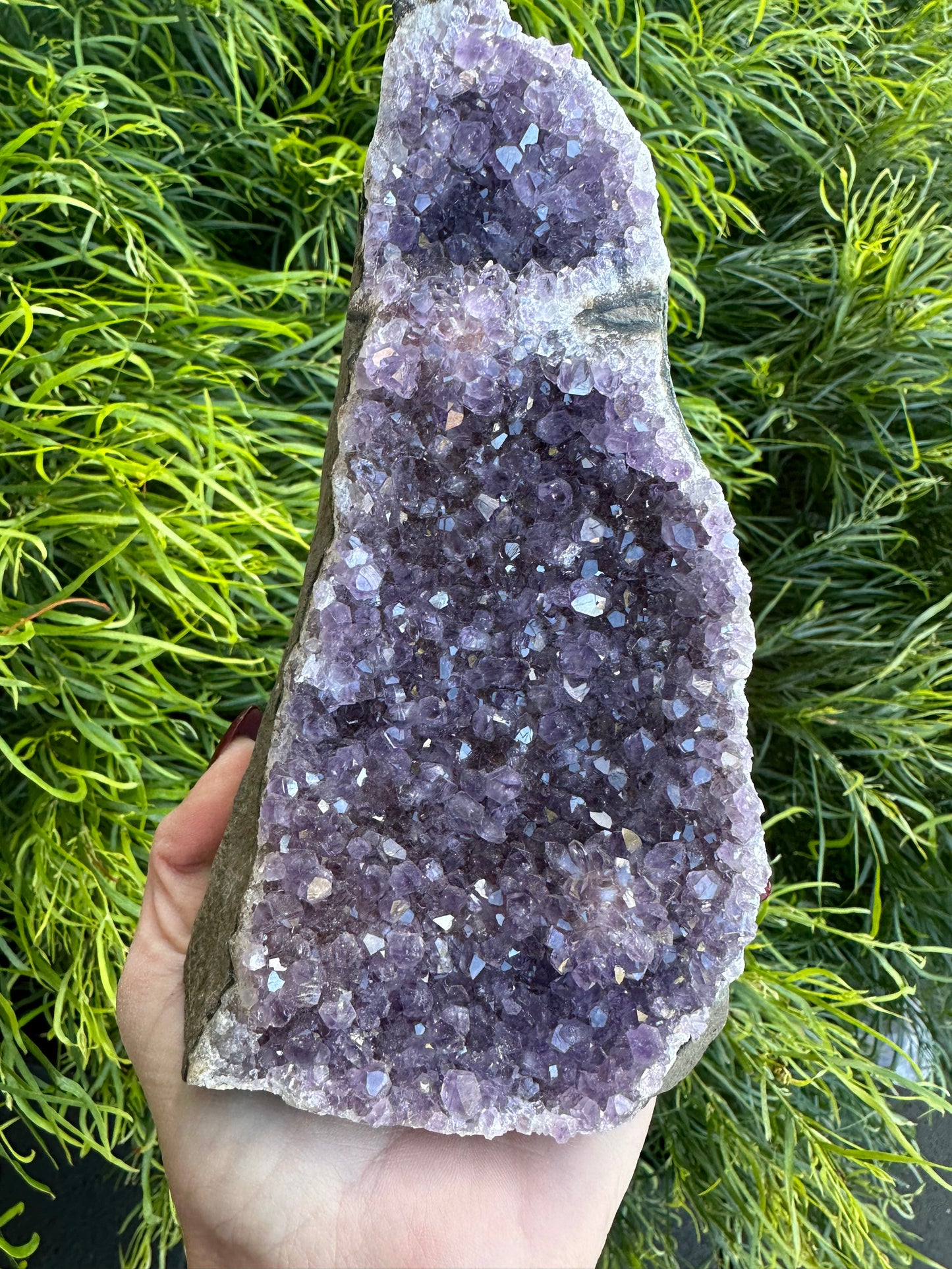 Amethyst cluster