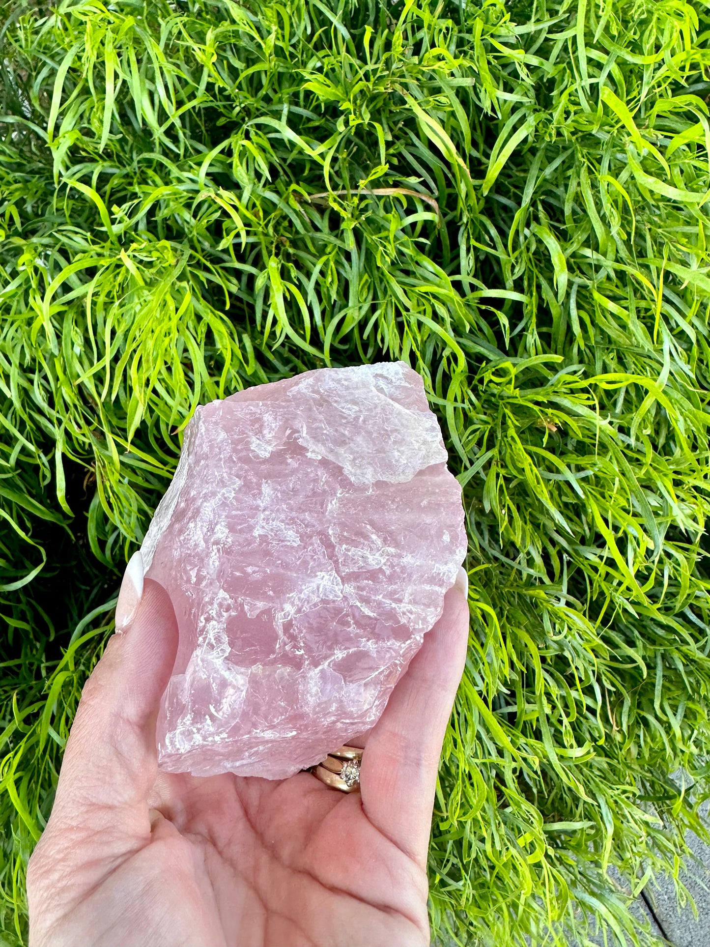 Half polished half raw rose quartz chunk