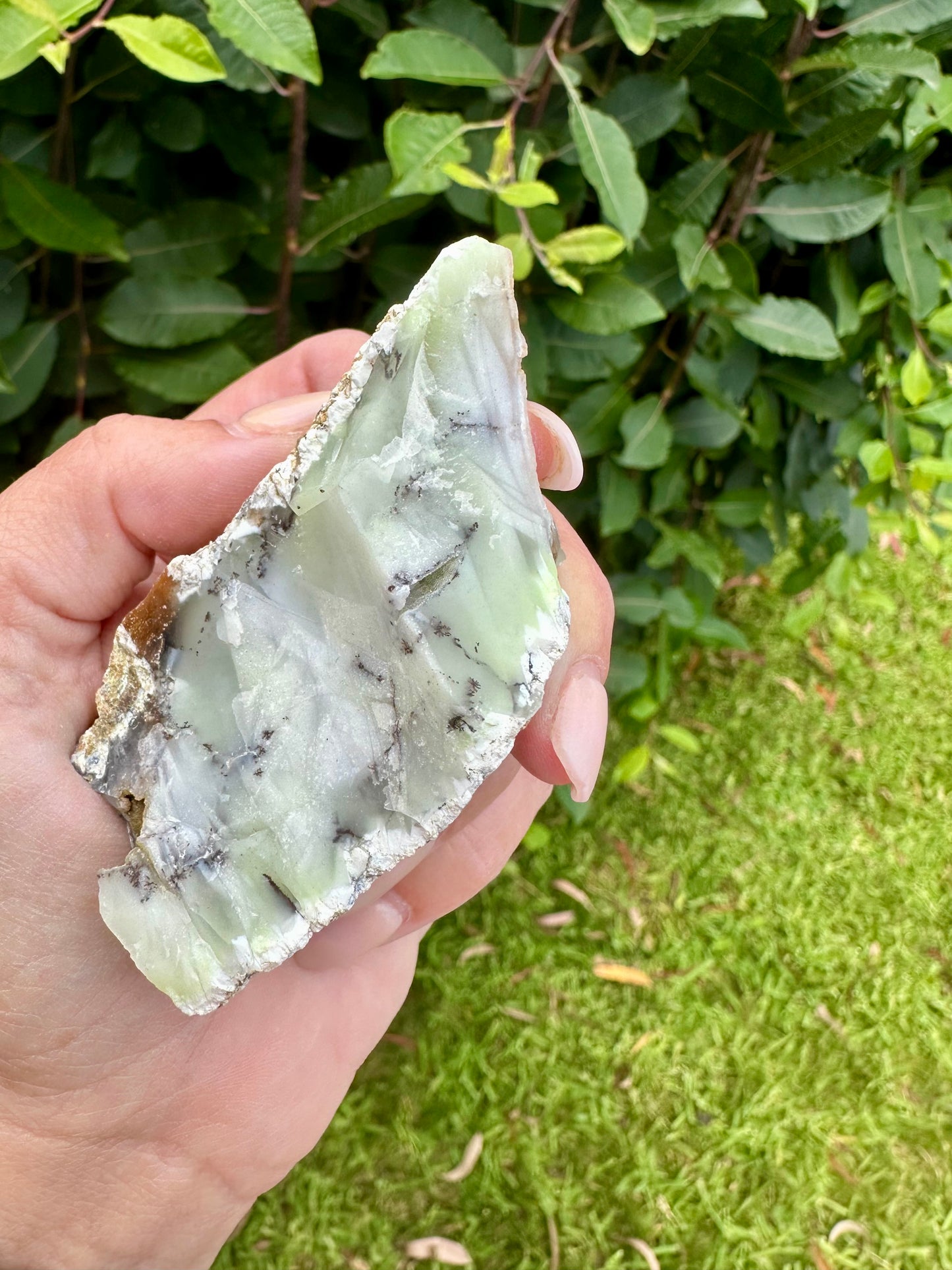 Dendritic opal raw