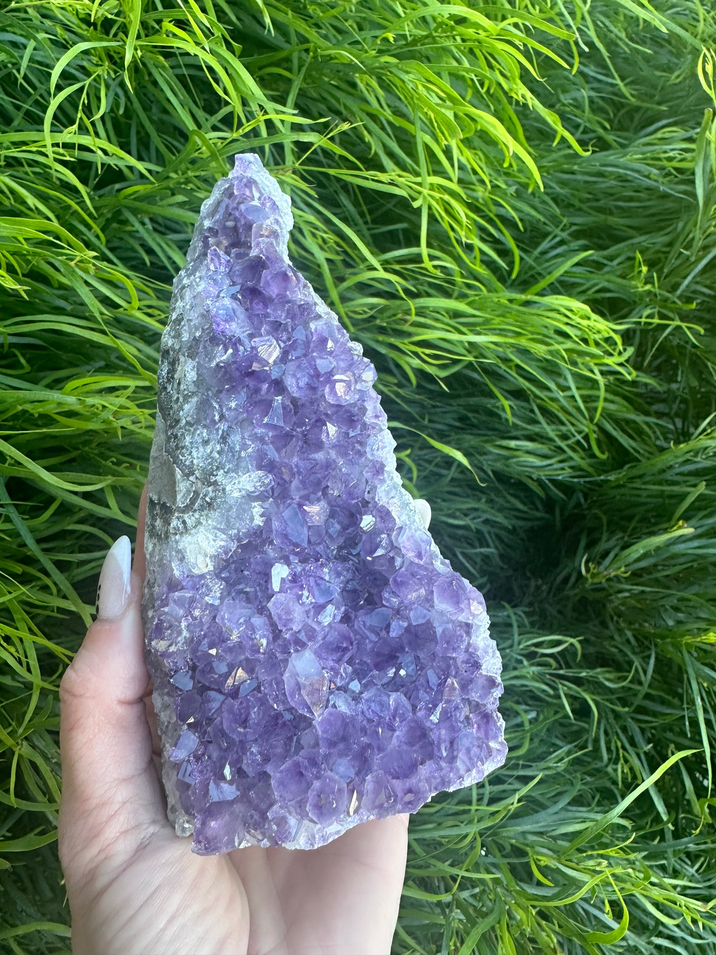 Witches hat amethyst cluster