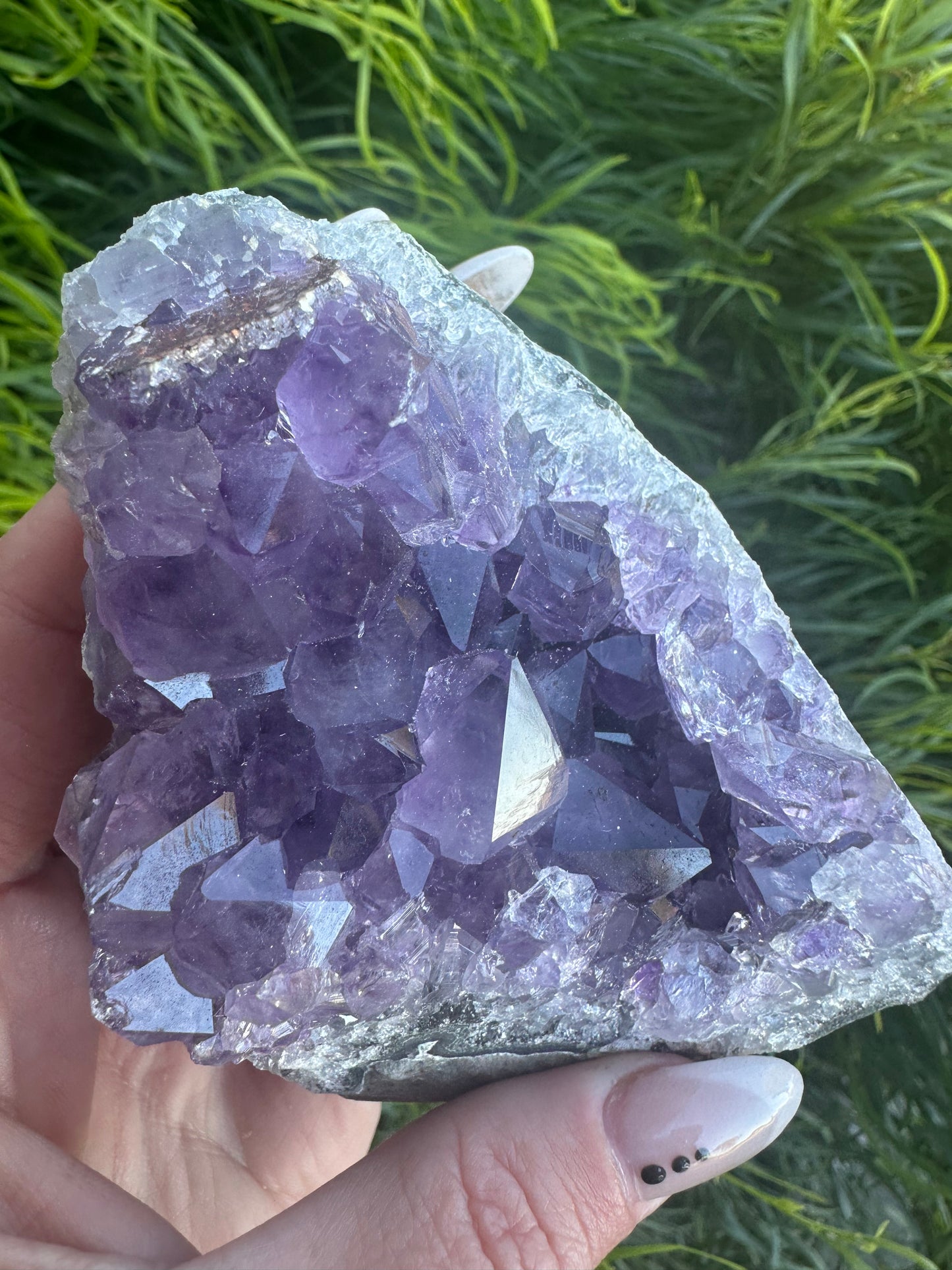 Amethyst cluster