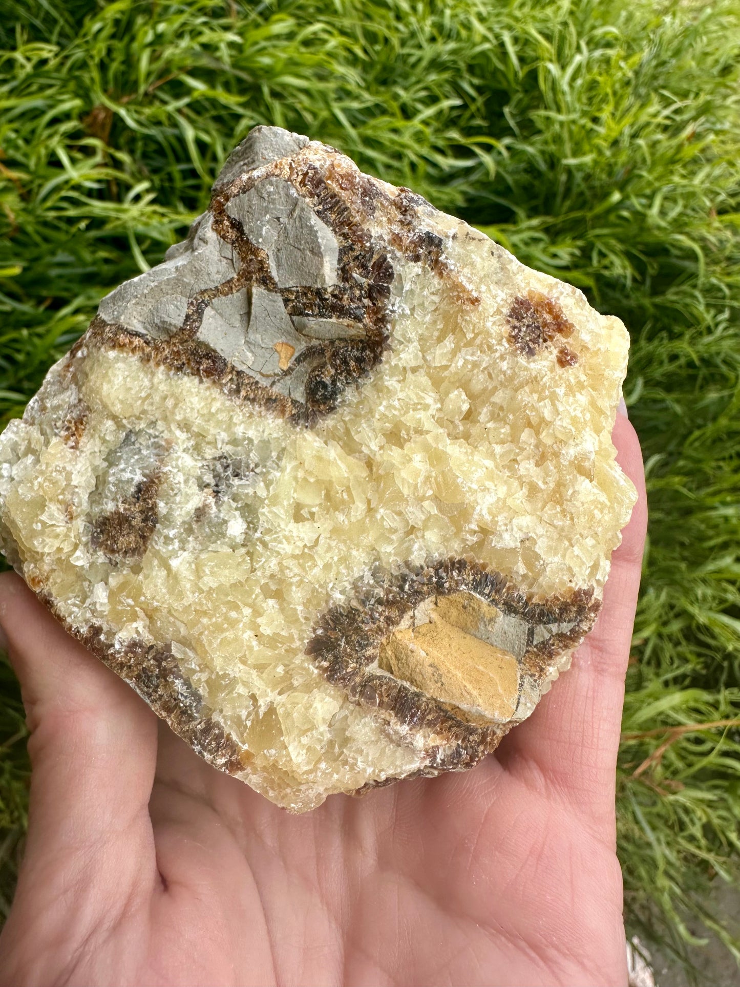 Septarian Stone