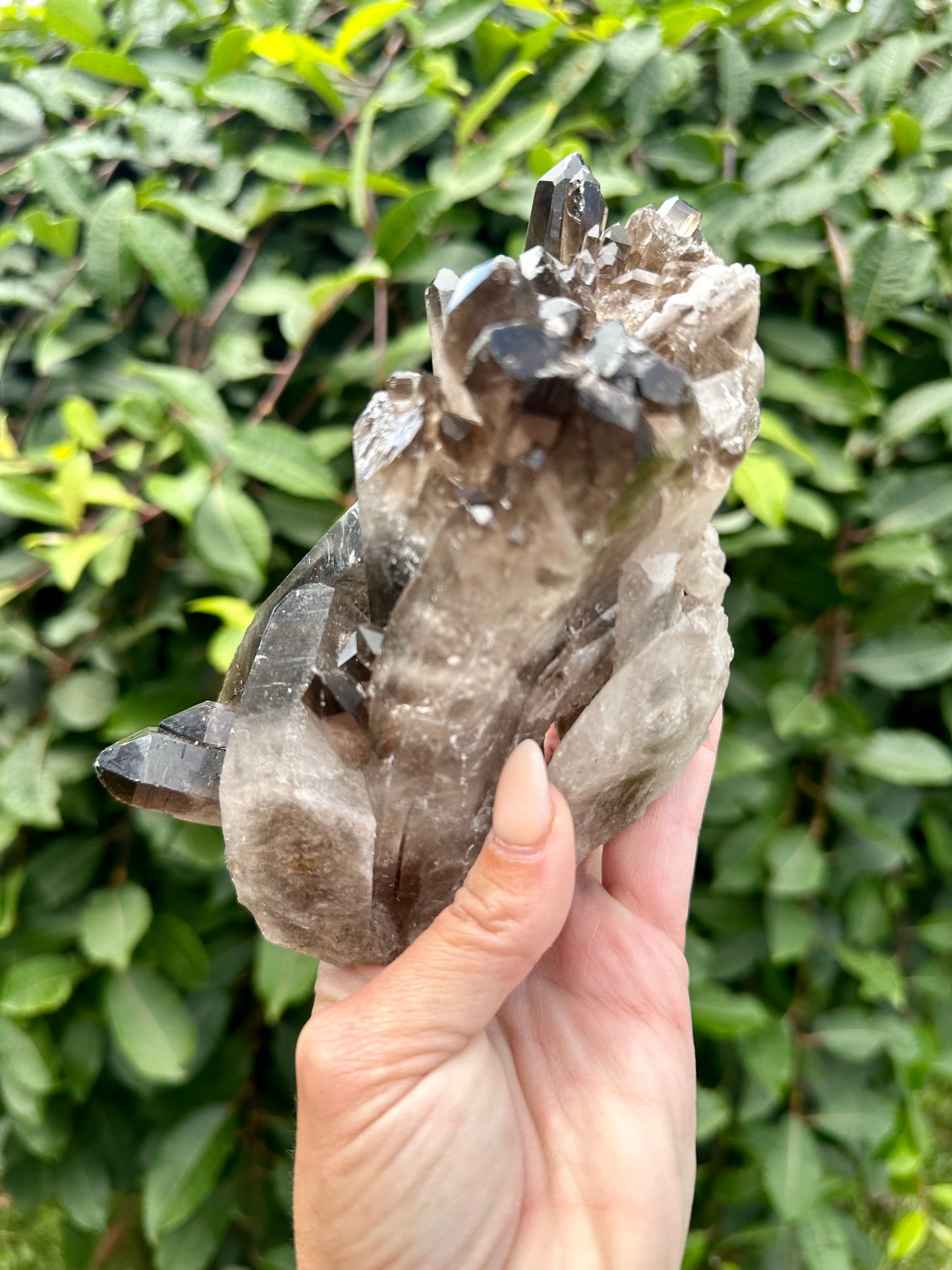 Large Smokey cluster with points