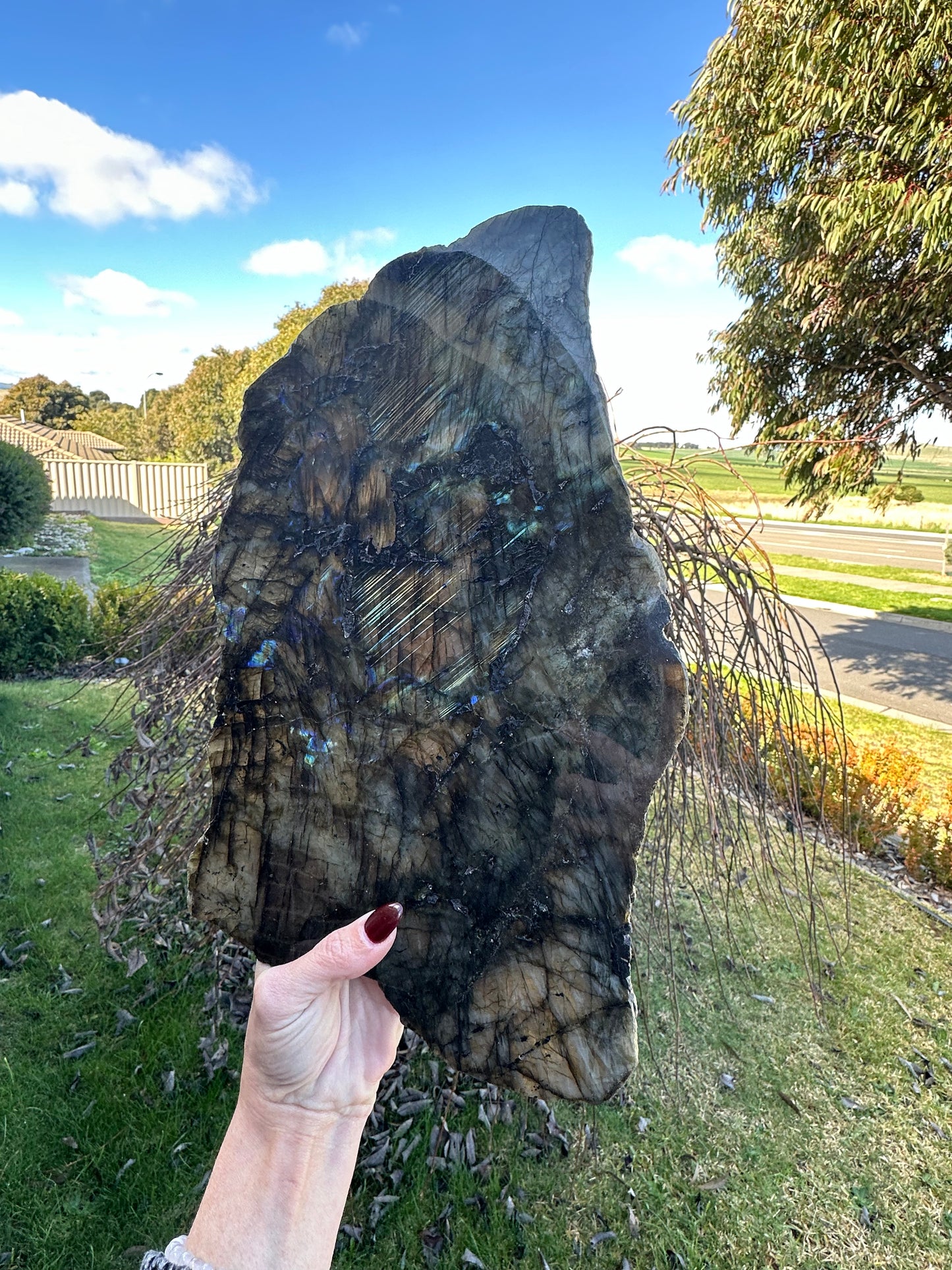 Huge labradorite slice