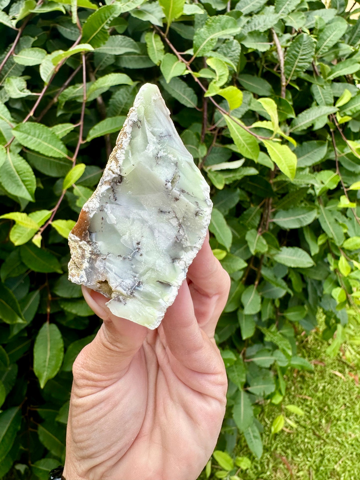 Dendritic opal raw