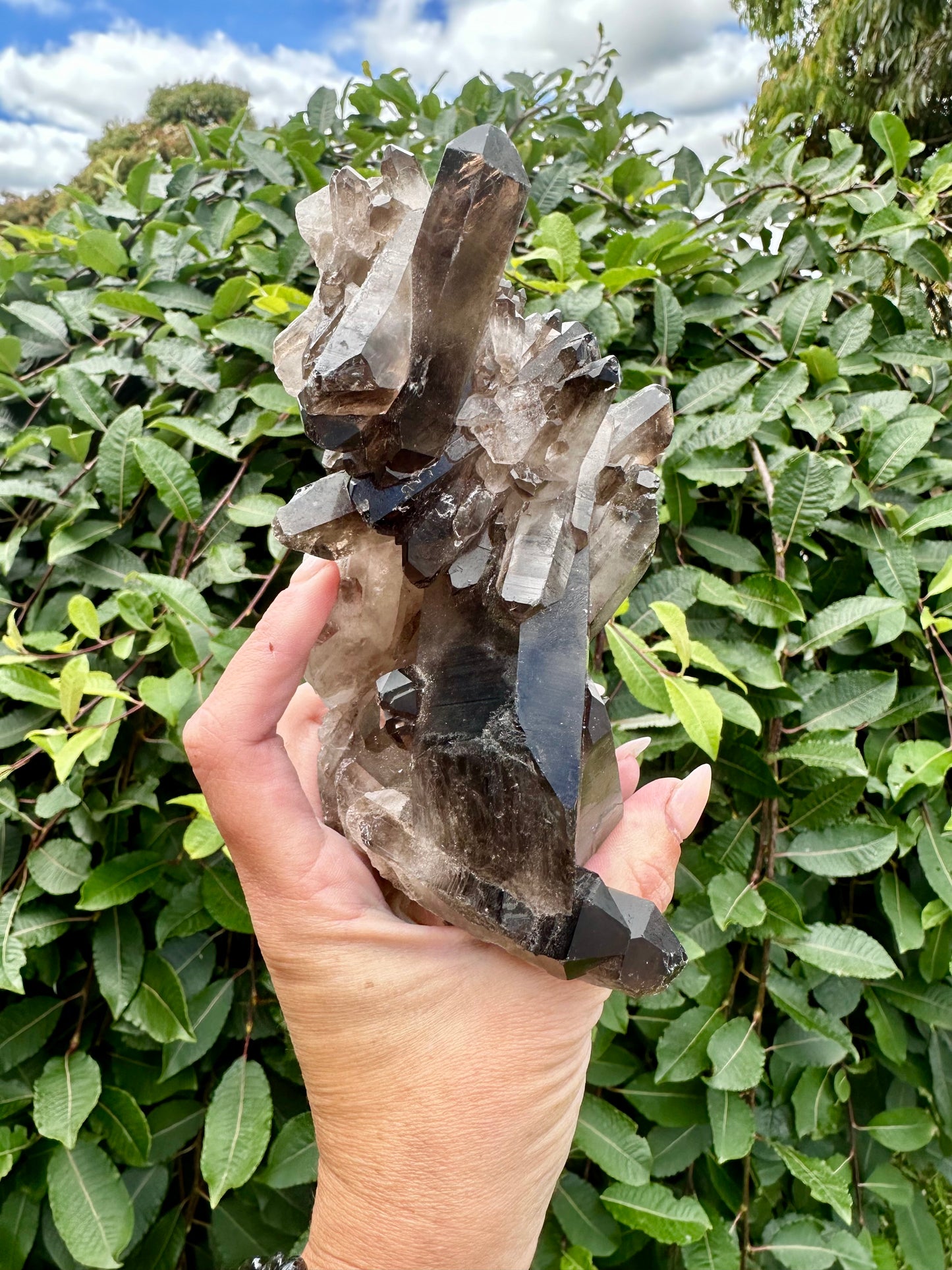 Large Smokey cluster with points