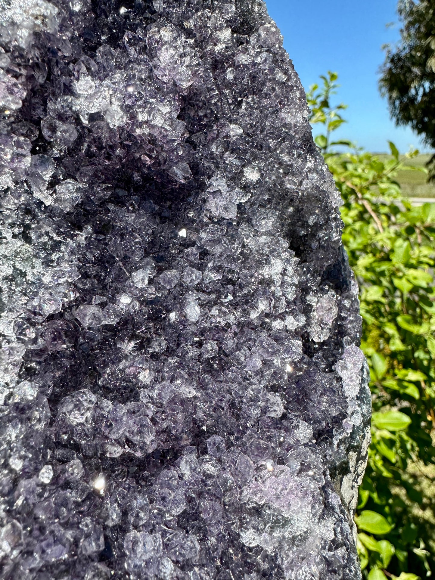Large amethyst cluster