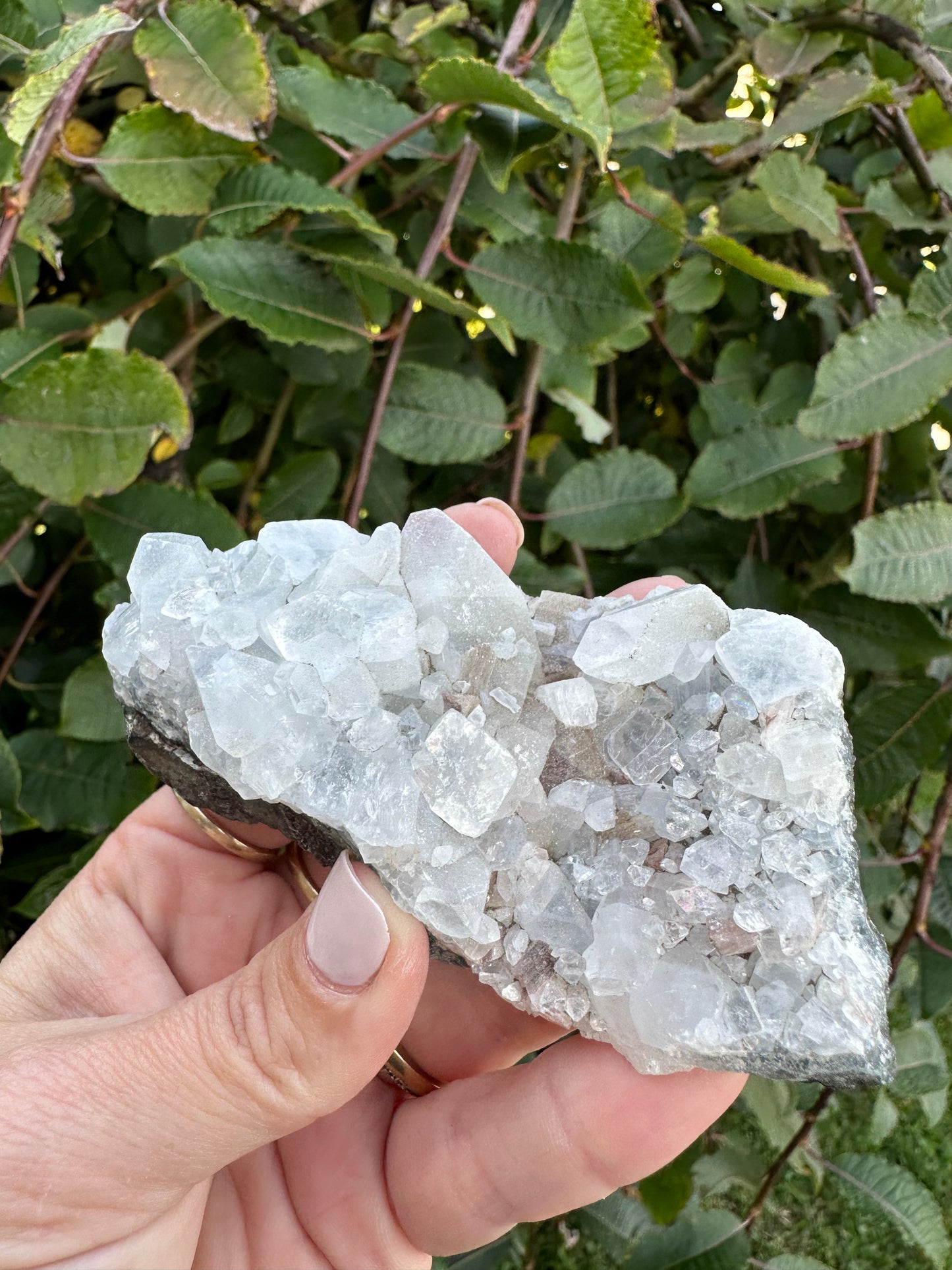 Apophyllite cluster