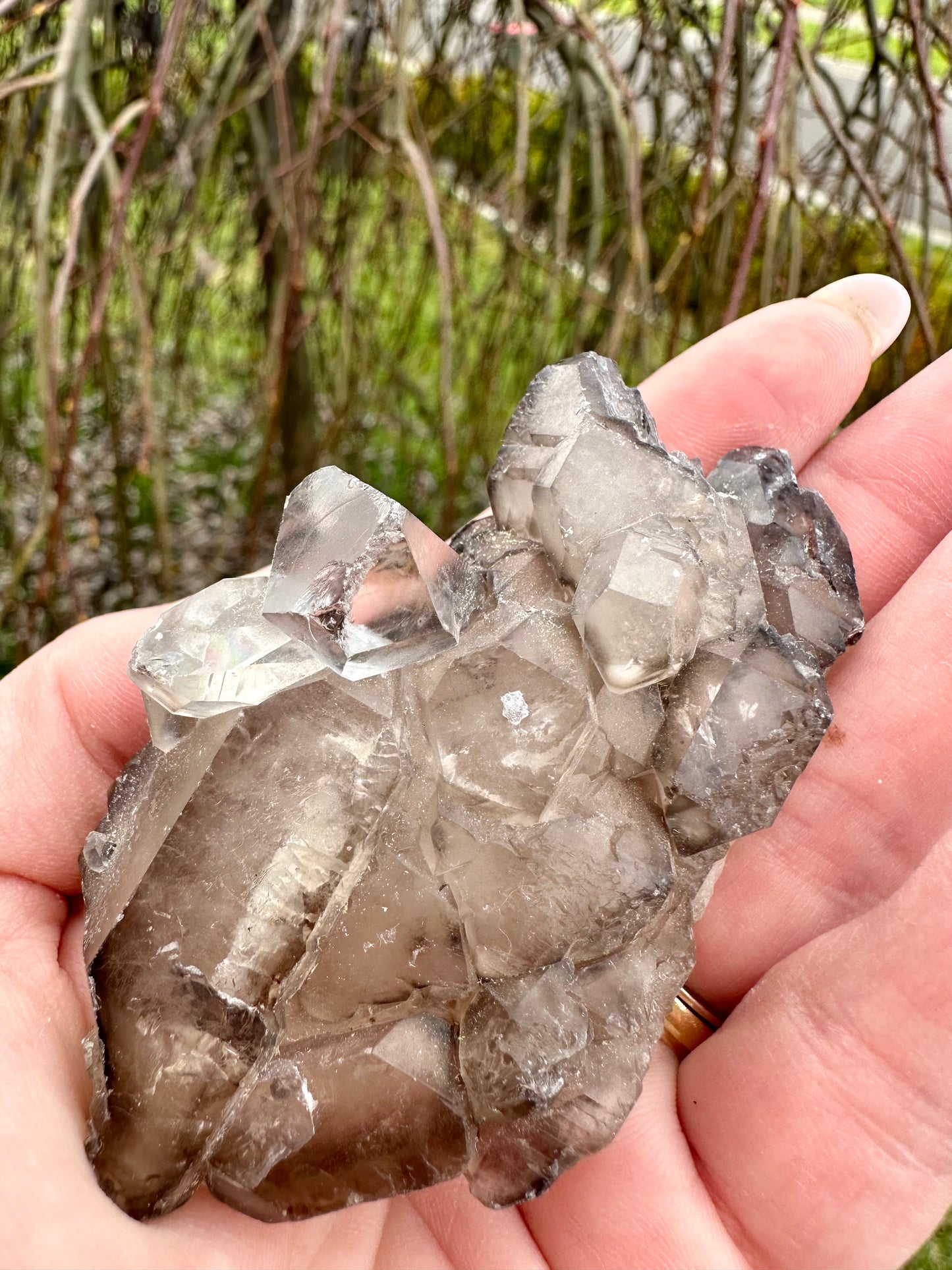 Elestial smokey cluster