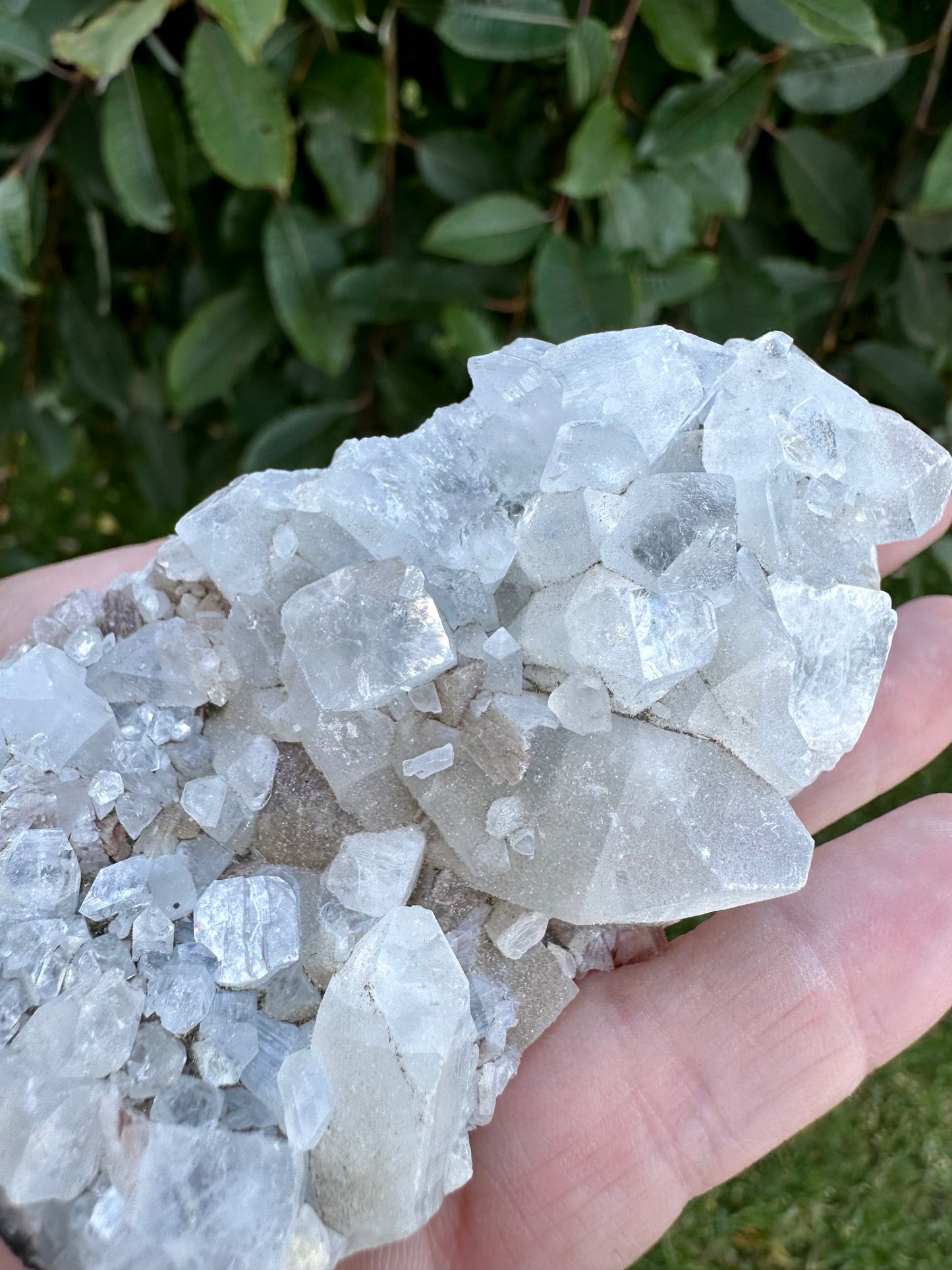 Apophyllite cluster