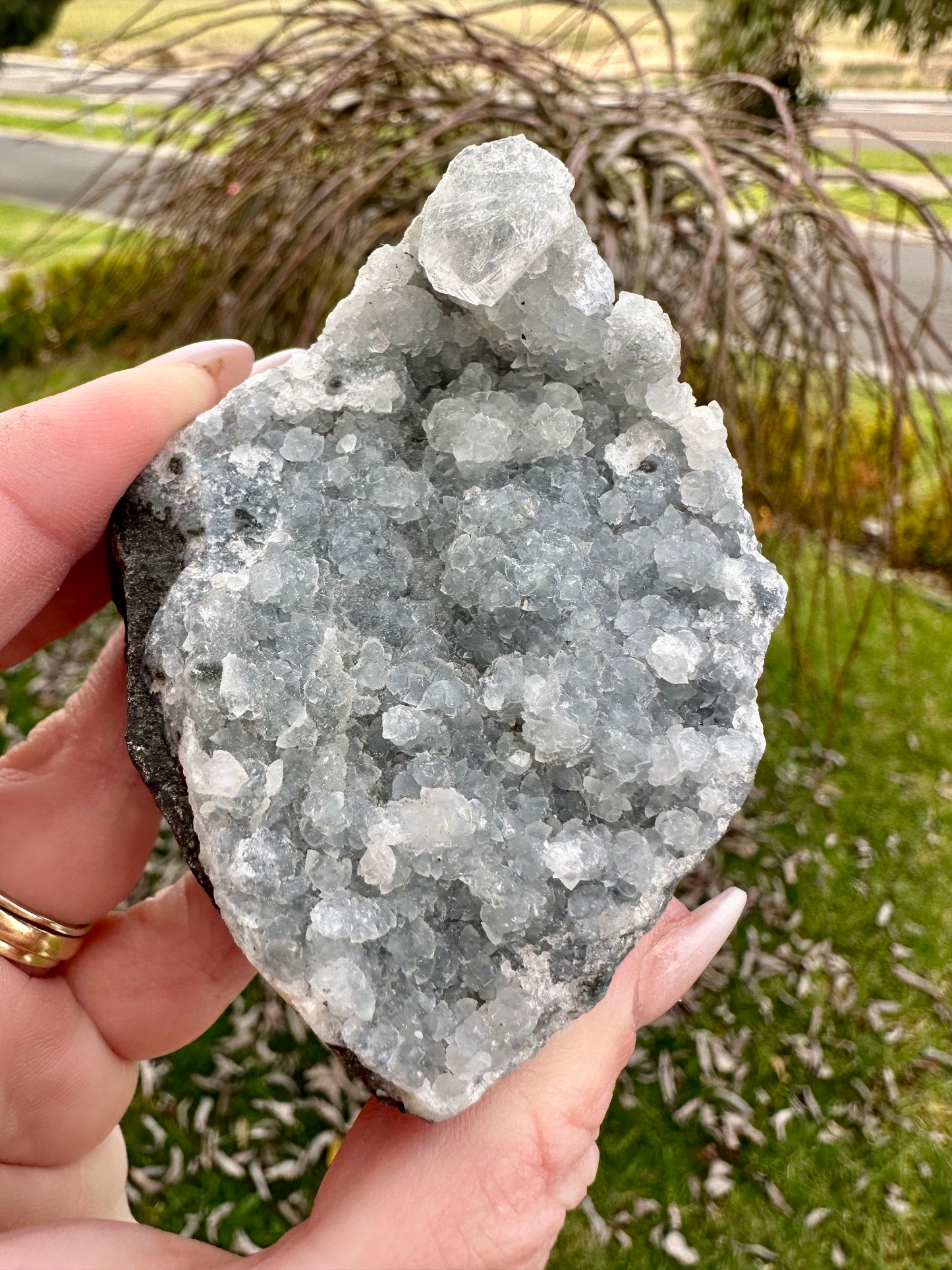 Apophyllite cluster
