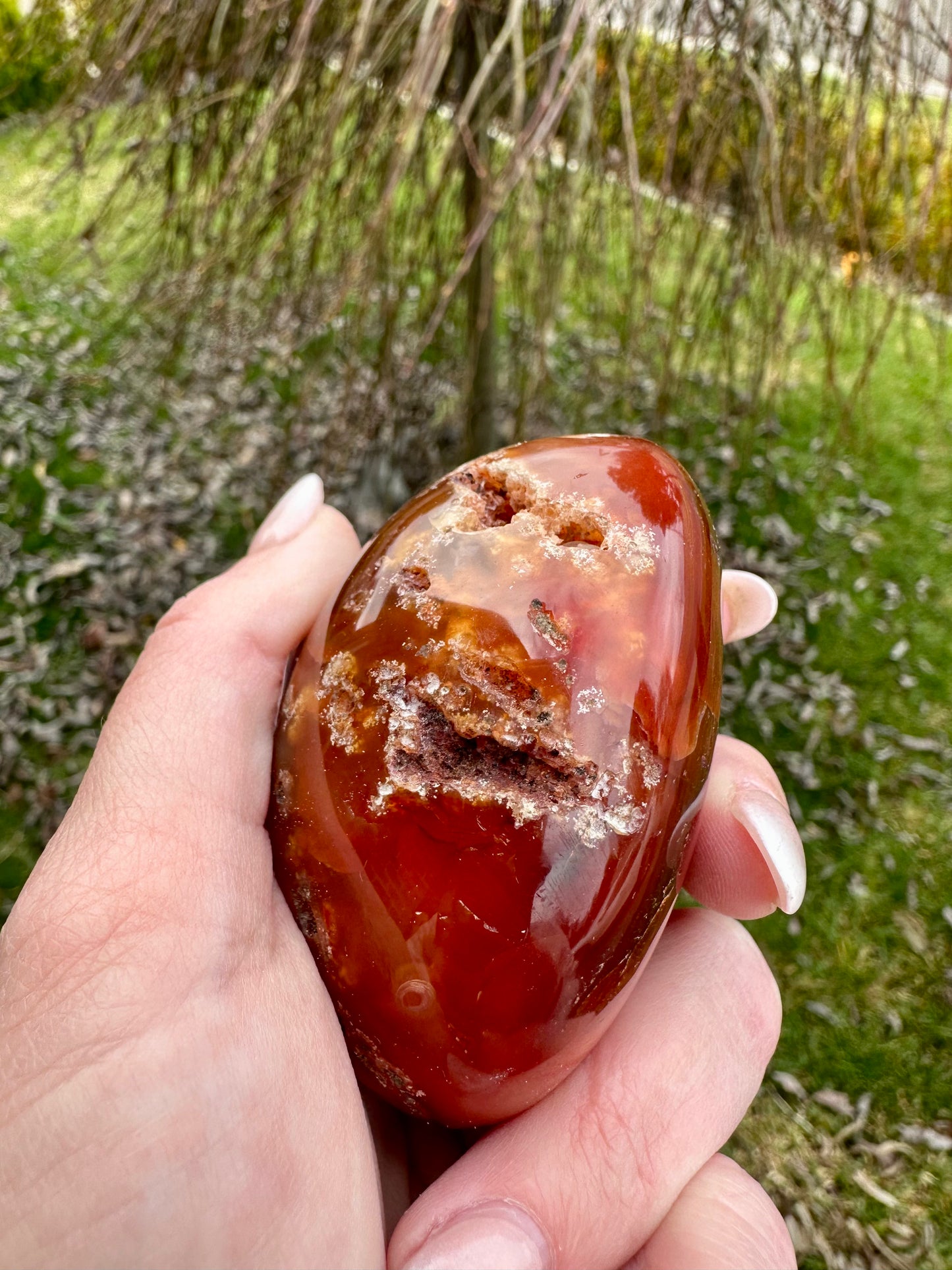 Extra large carnelian palm