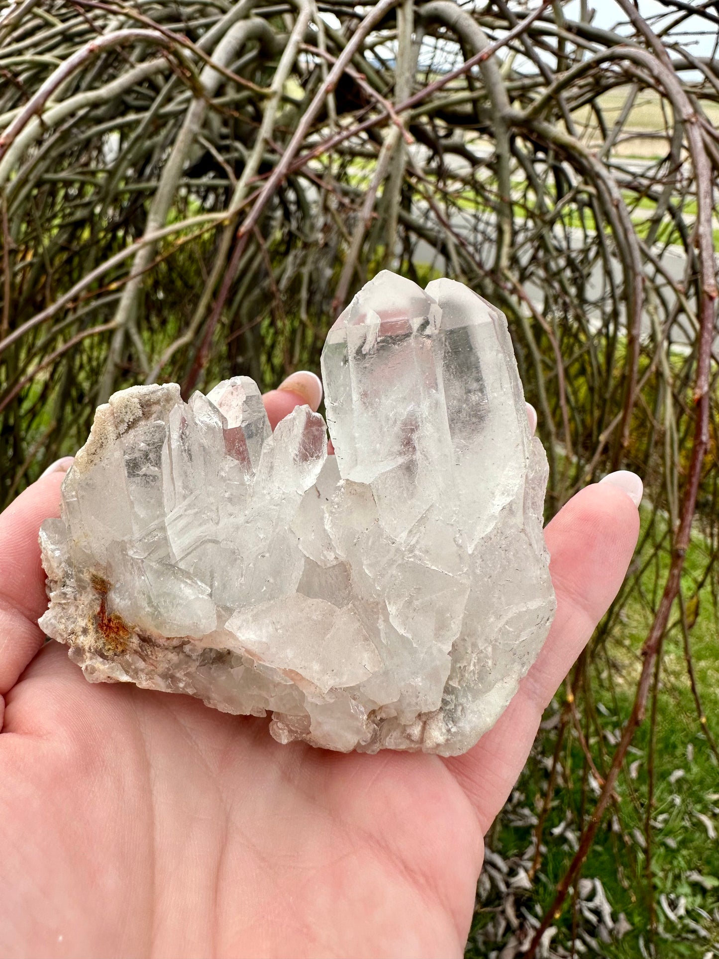 Clear quartz point cluster