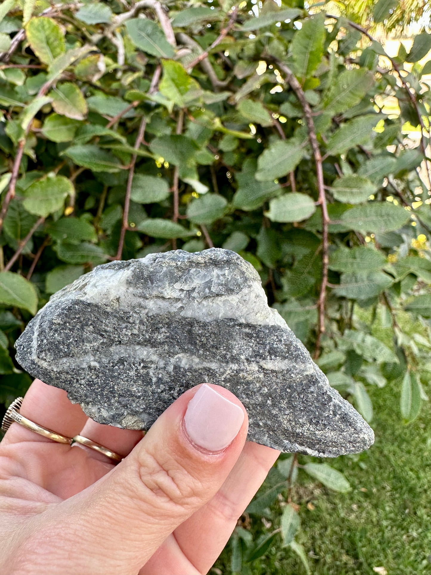Pyrite in quartz and matrix