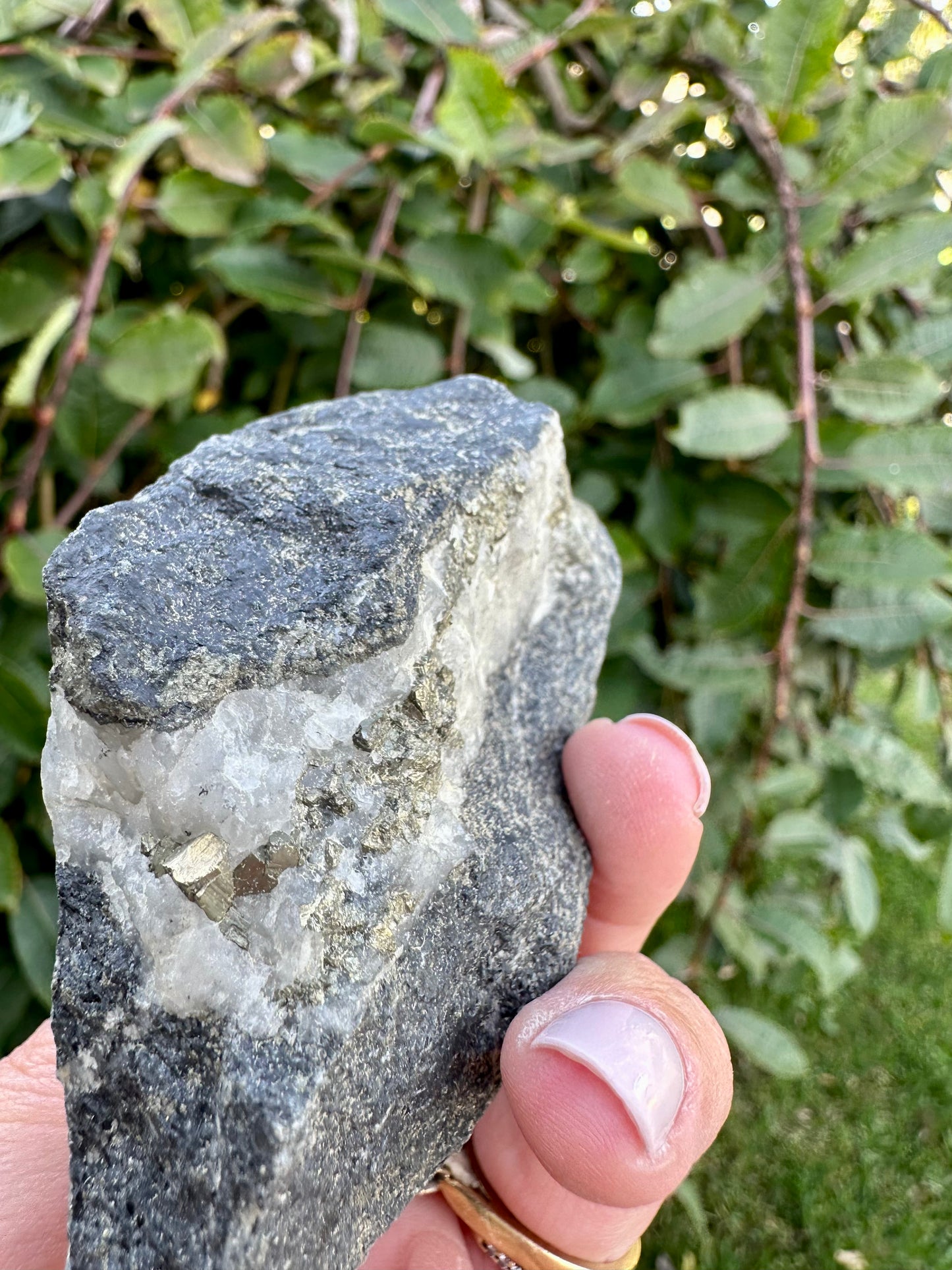 Pyrite in quartz and matrix