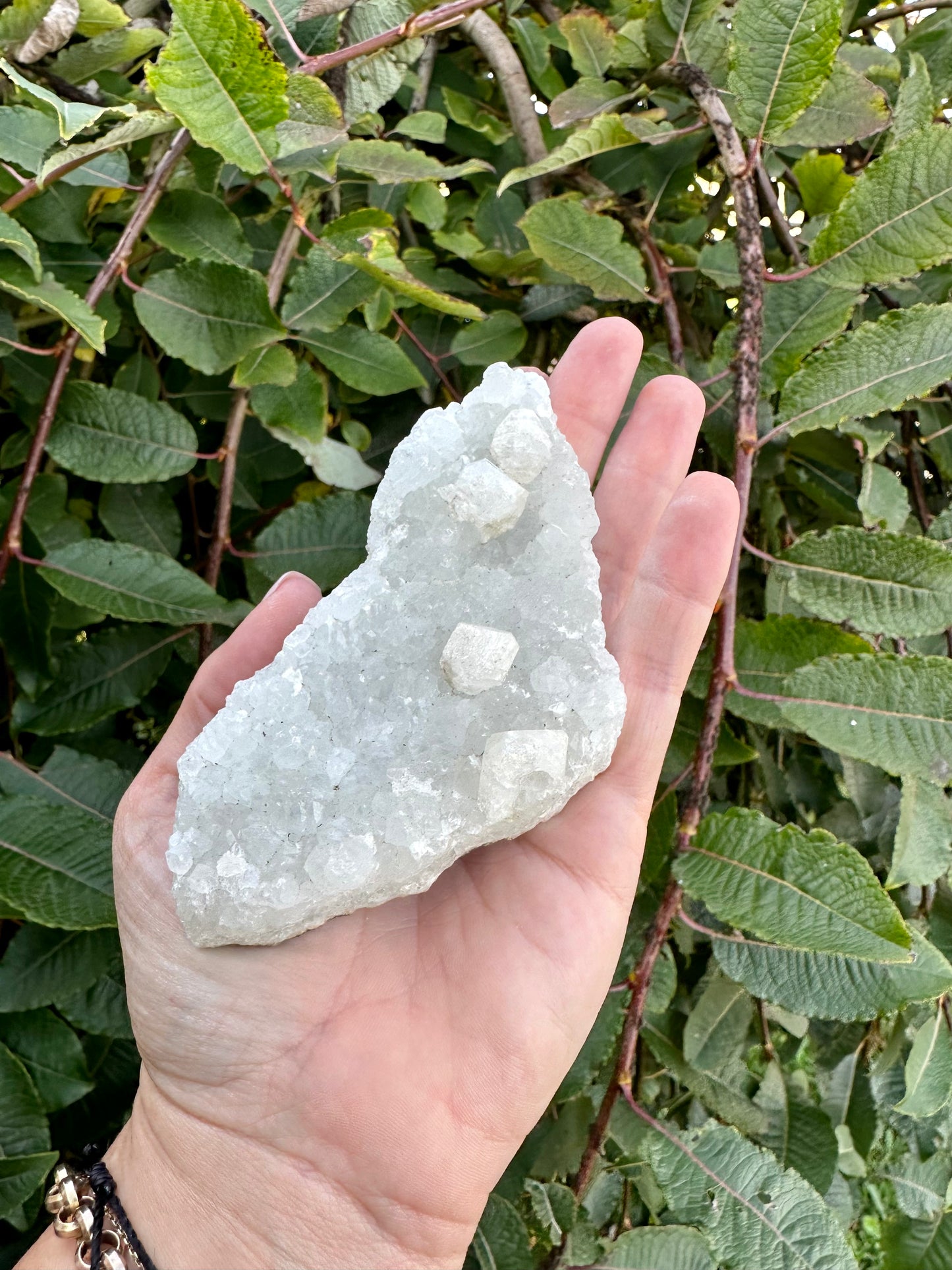 Apophyllite cluster