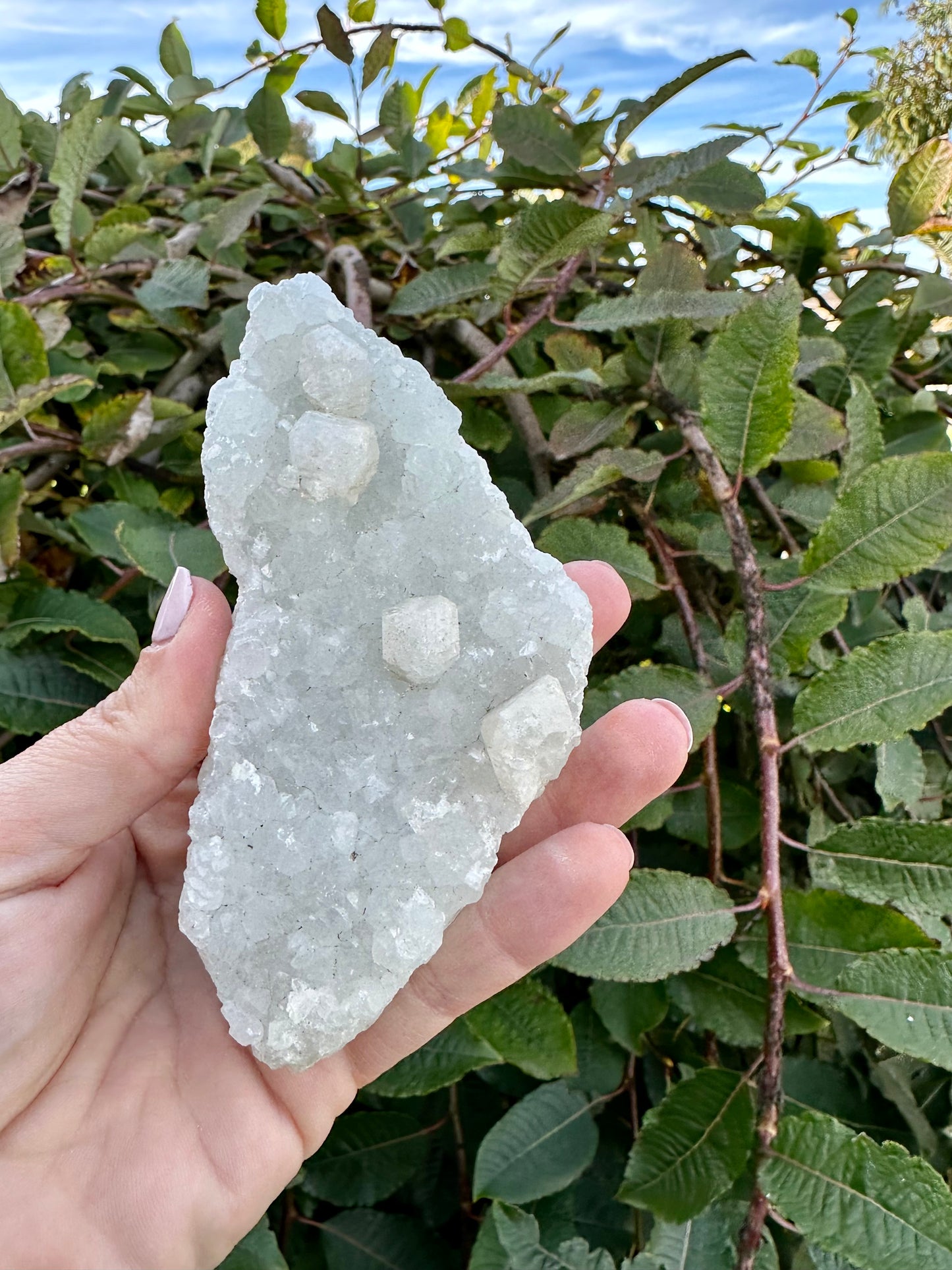 Apophyllite cluster