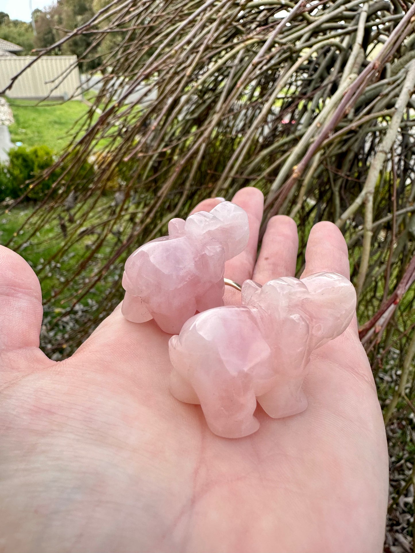 Rose quartz elephant
