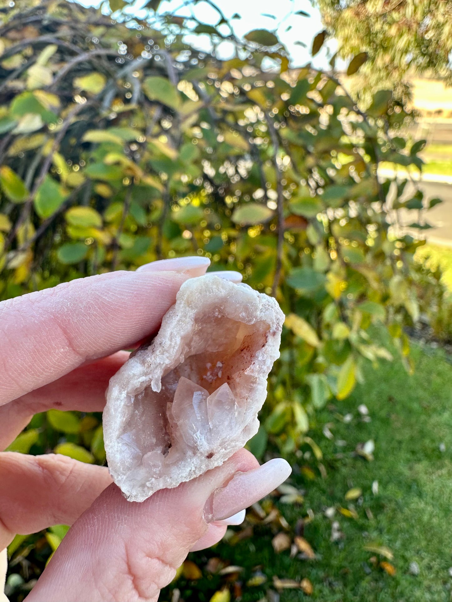 Mini pink amethyst cluster