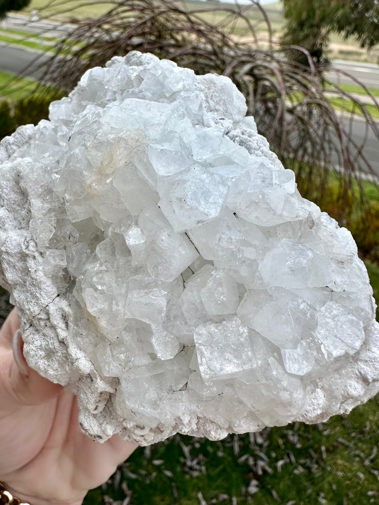 Large Apophyllite cluster