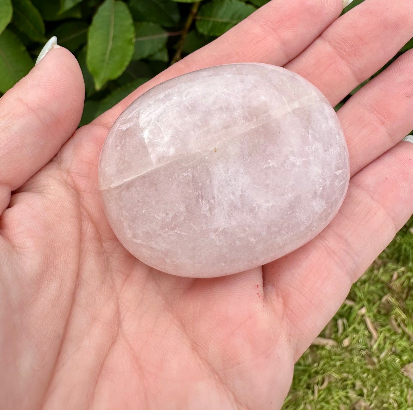 Rose Quartz palm stone