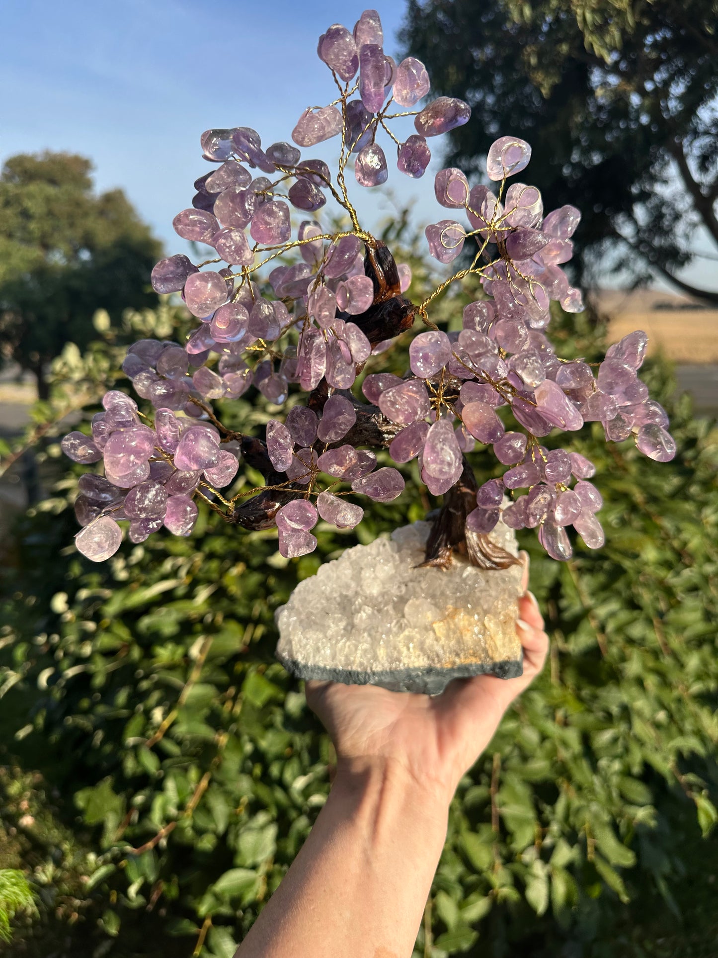 Large Amethyst bonsai tree on cluster base