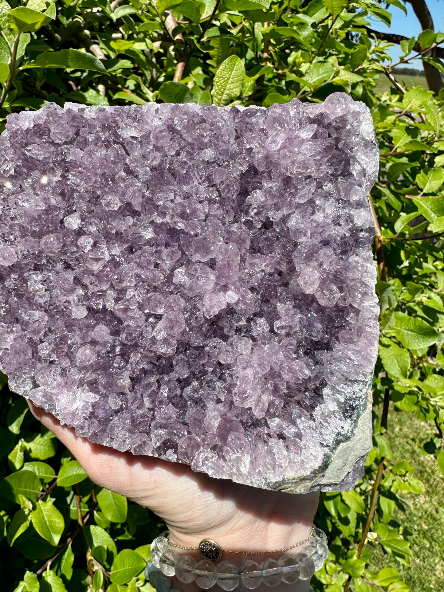 Amethyst cluster large