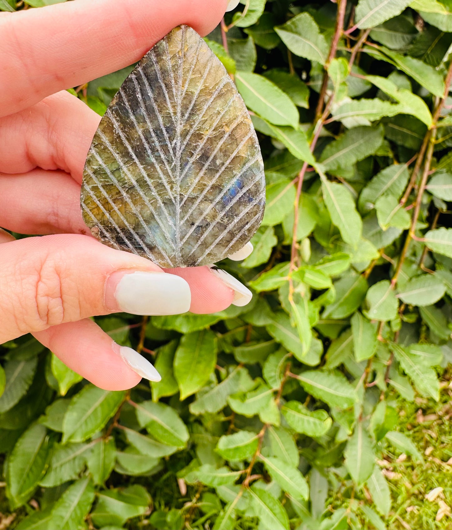 Labradorite leaf carving