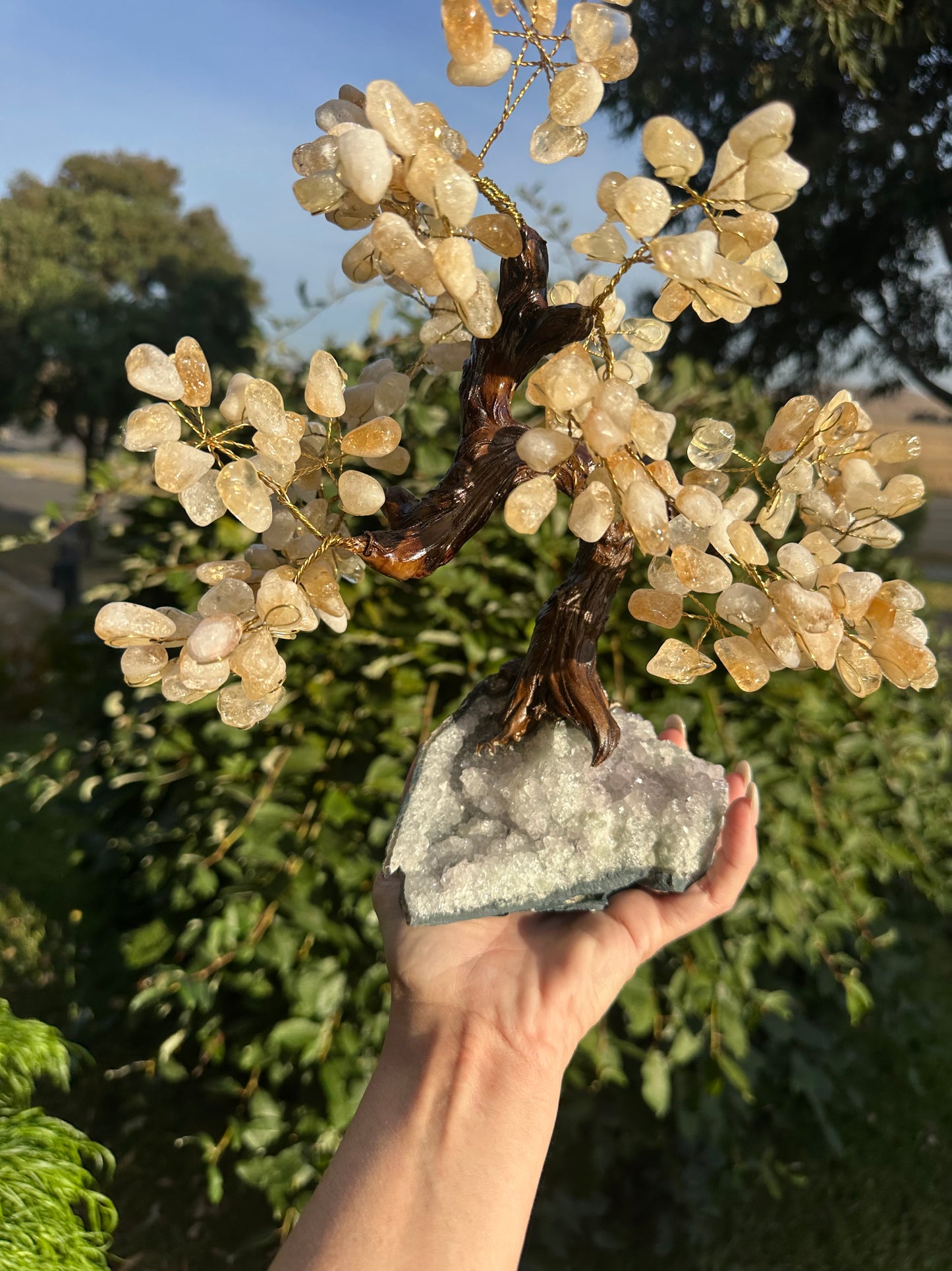 Large citrine bonsai tree