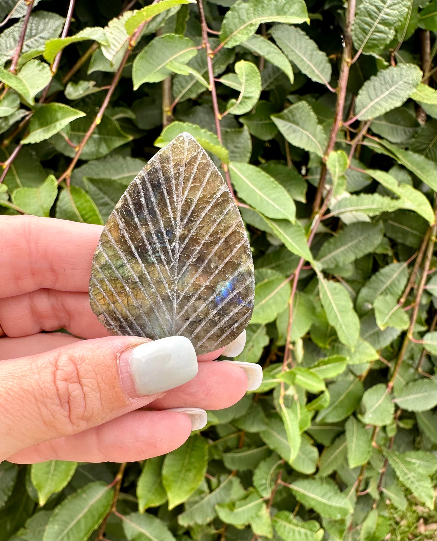 Labradorite leaf carving