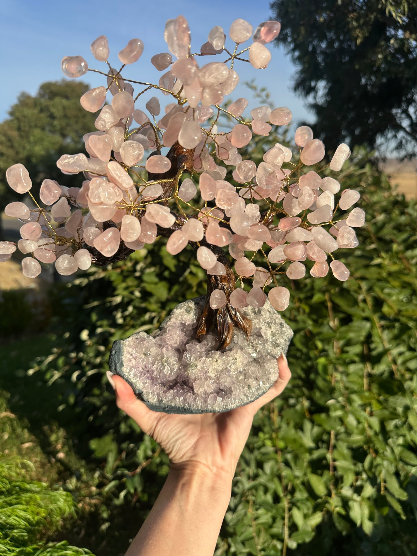 Large rose quartz bonsai tree