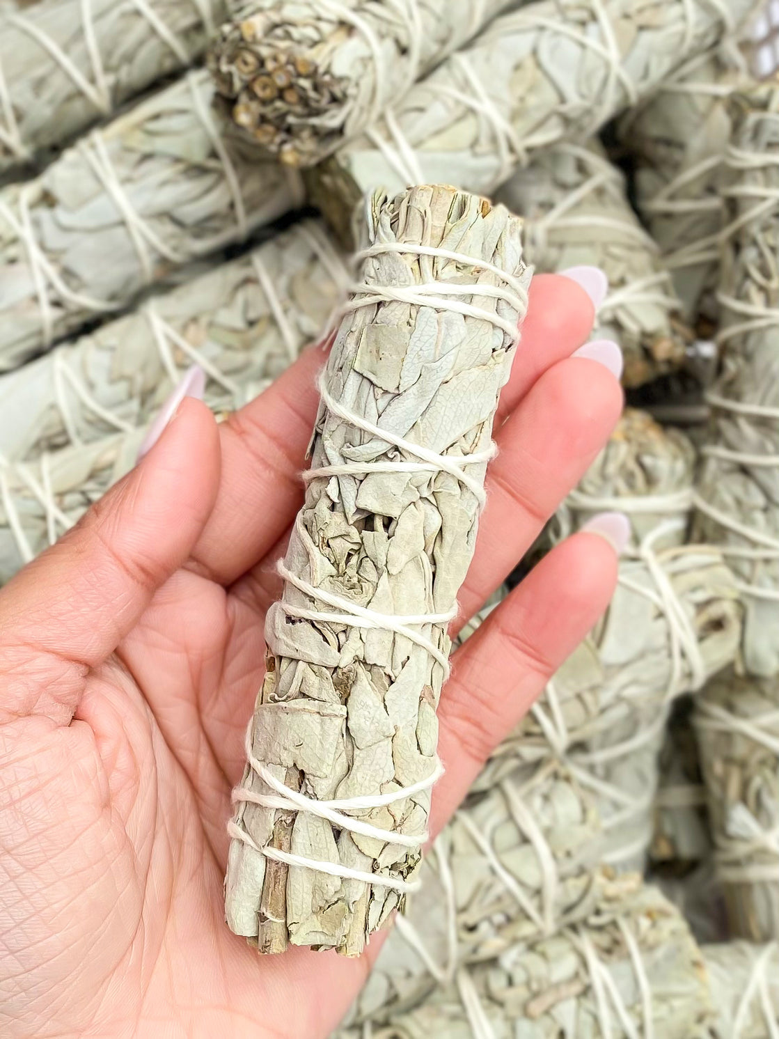 White sage bundle