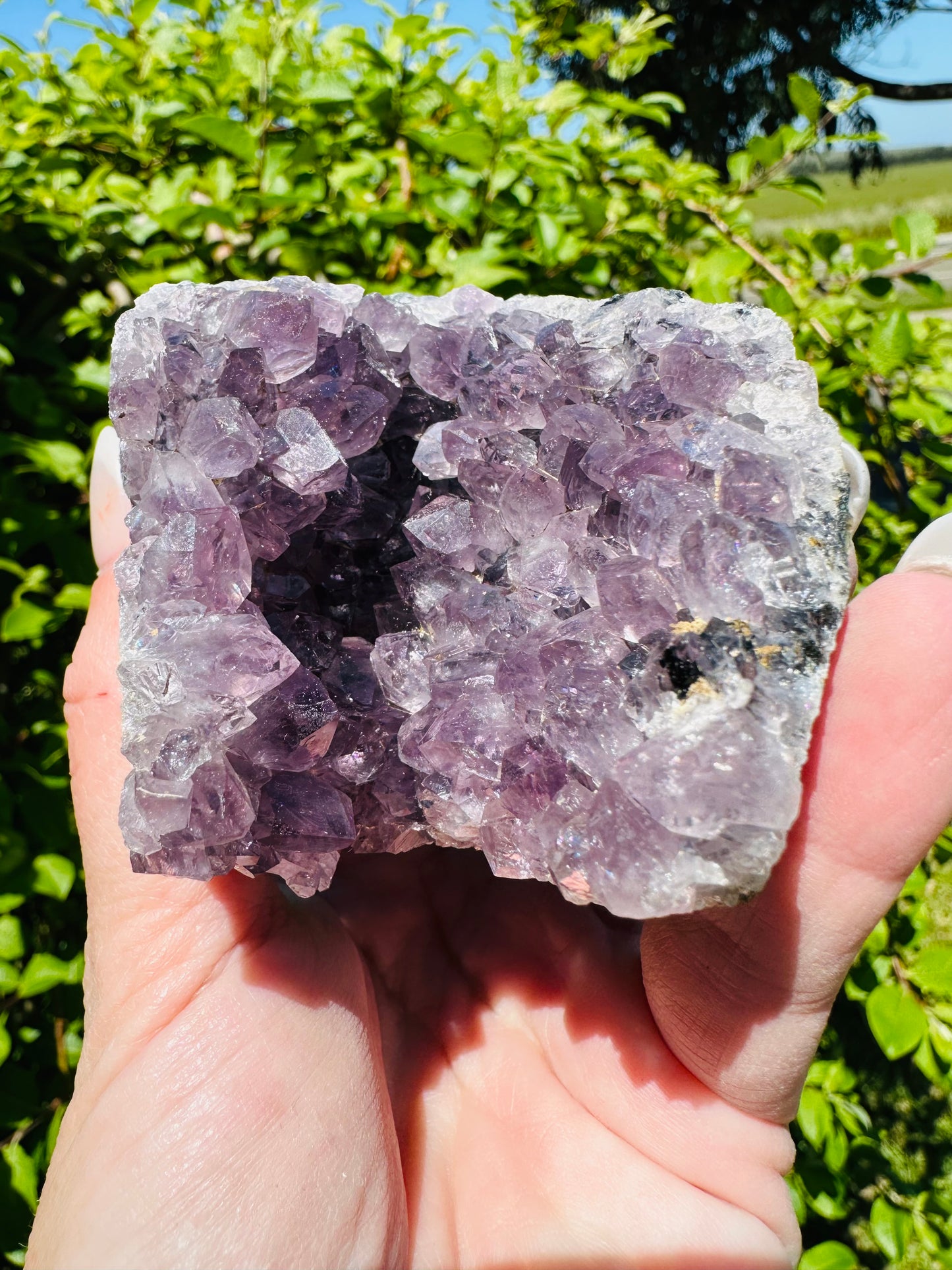 Amethyst cluster