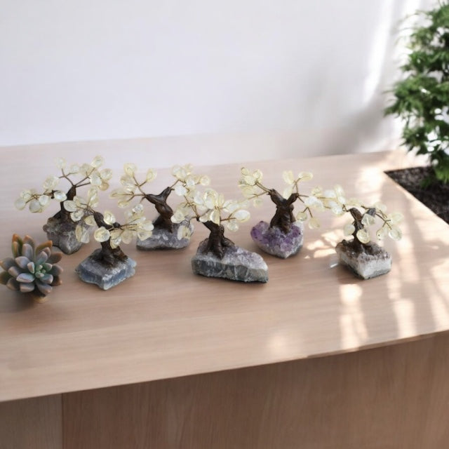 Mini clear quartz bonsai tree on cluster