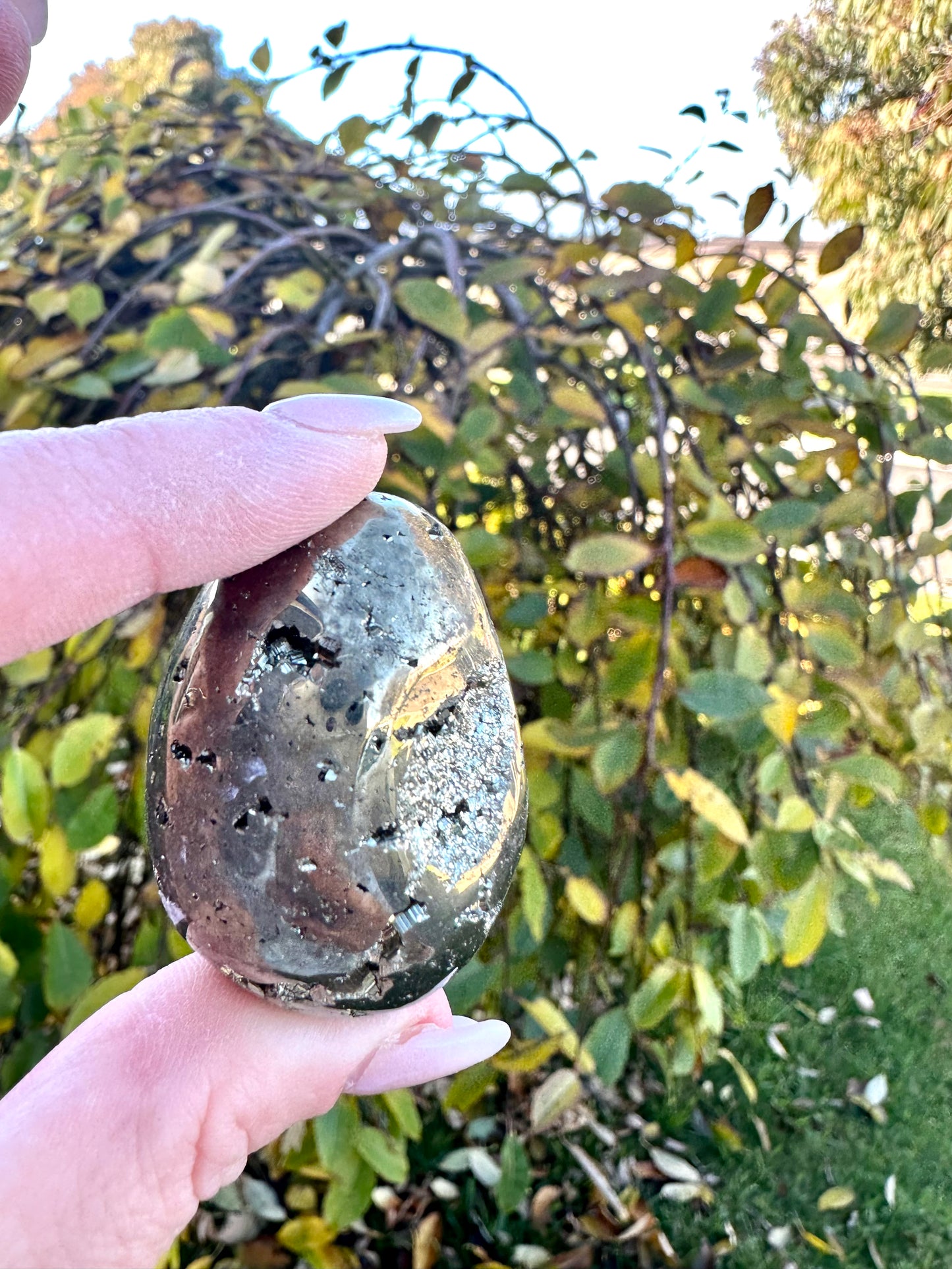 Pyrite egg