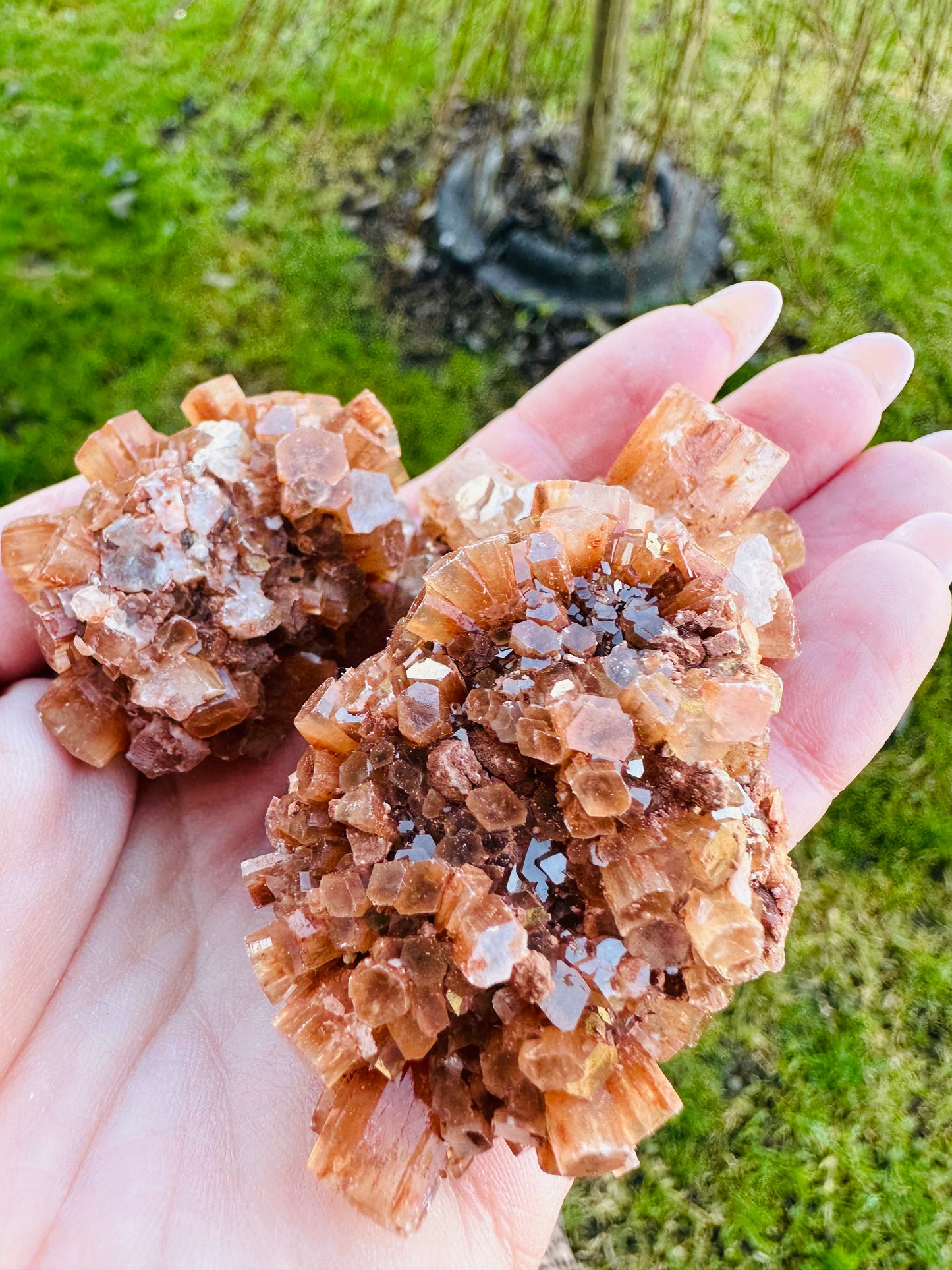 Aragonite