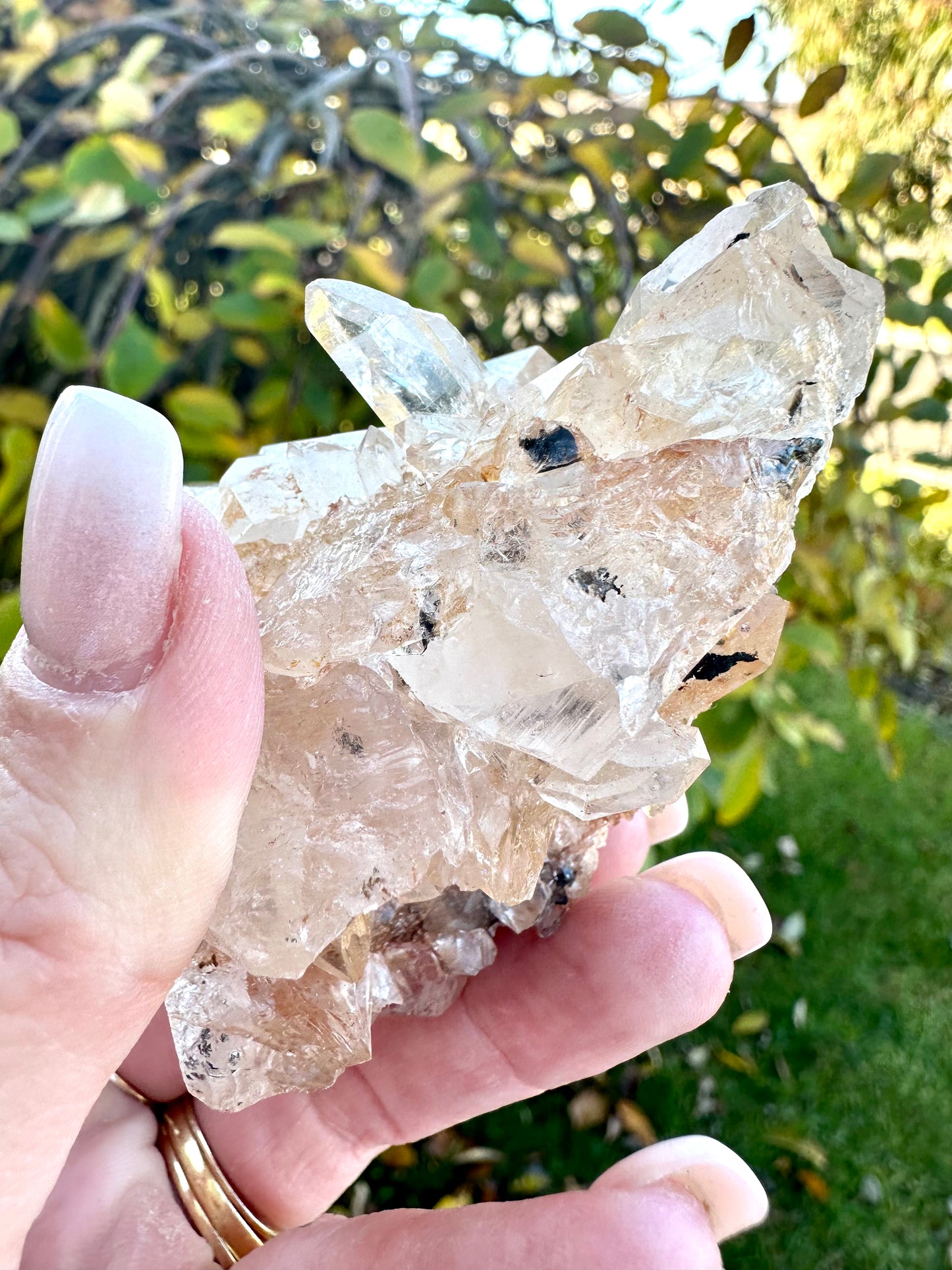 Himalayan clear quartz cluster