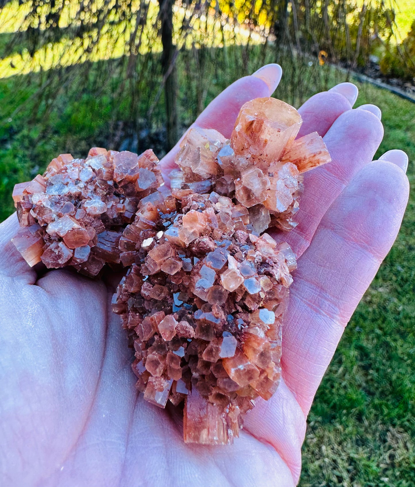 Aragonite