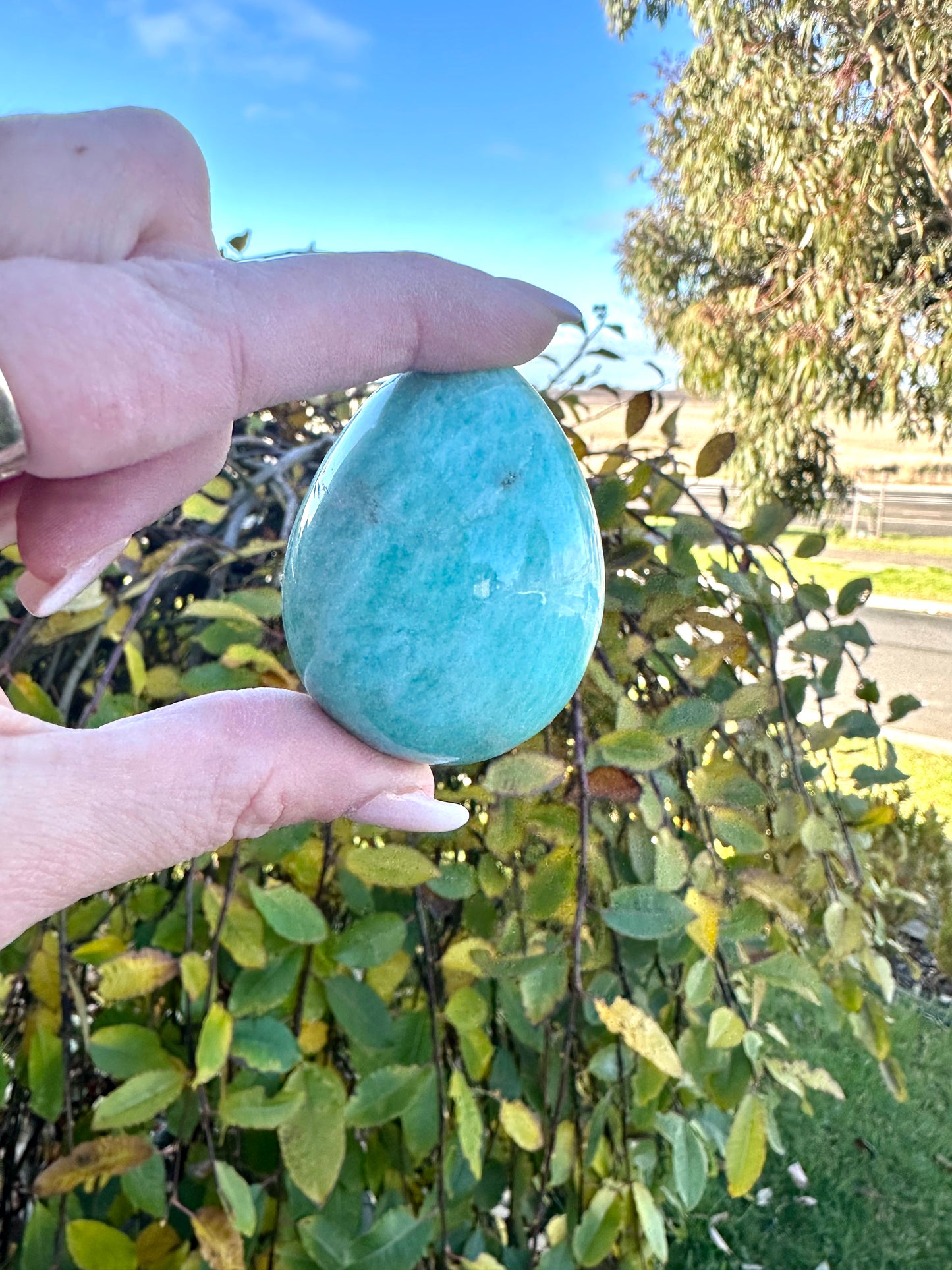 Amazonite egg